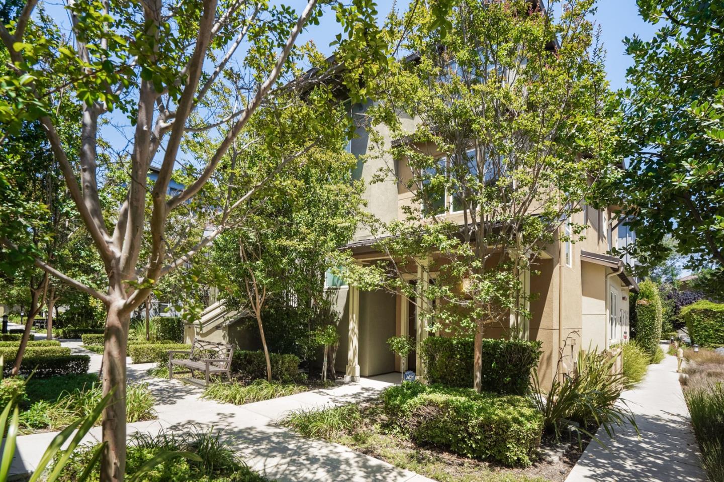 577 San Rivera TER