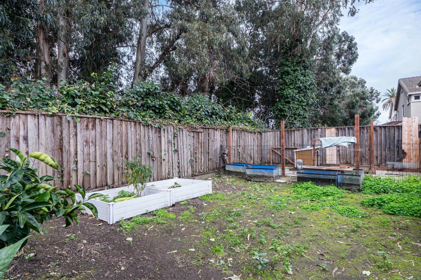 708 Raineer Court