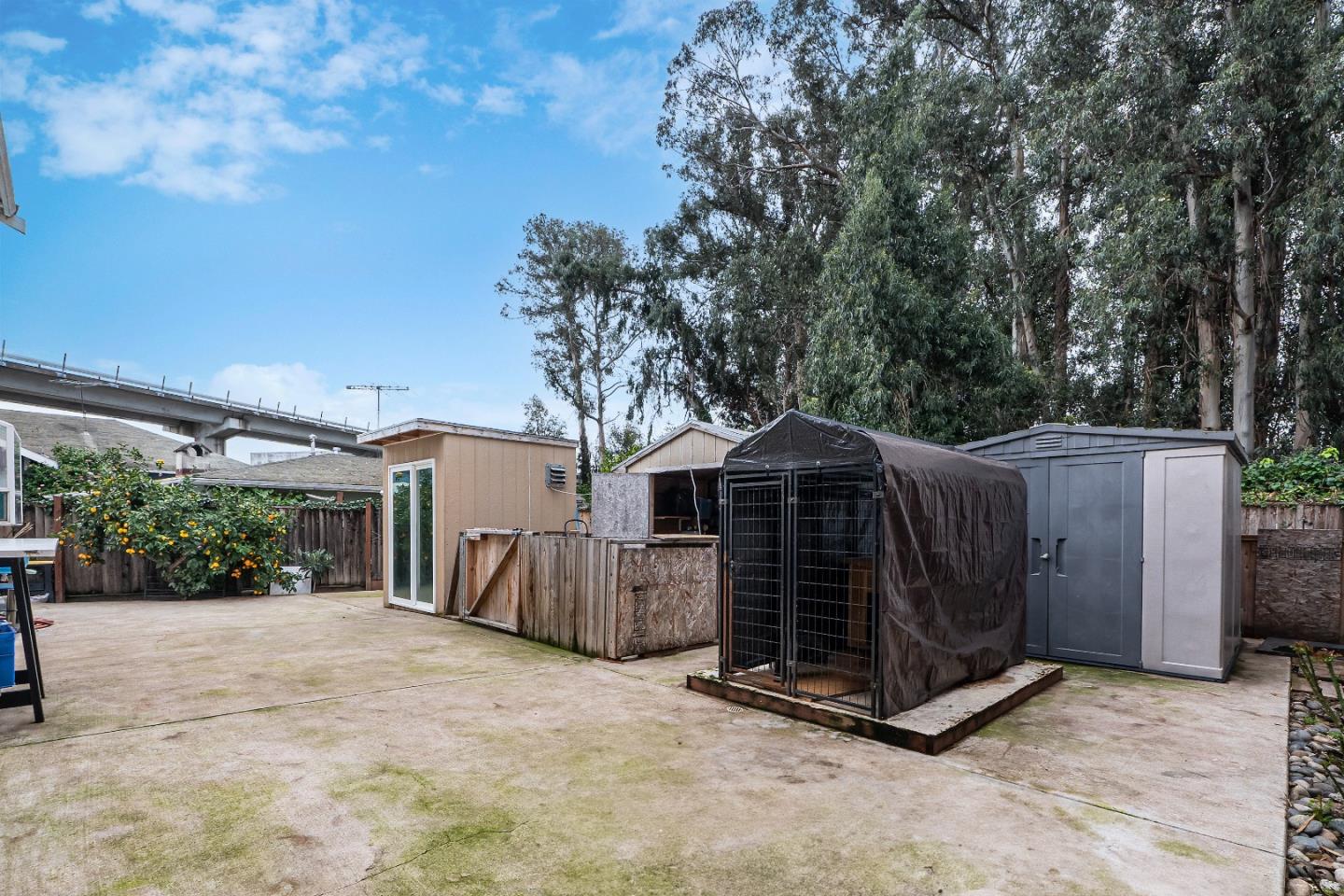 708 Raineer Court