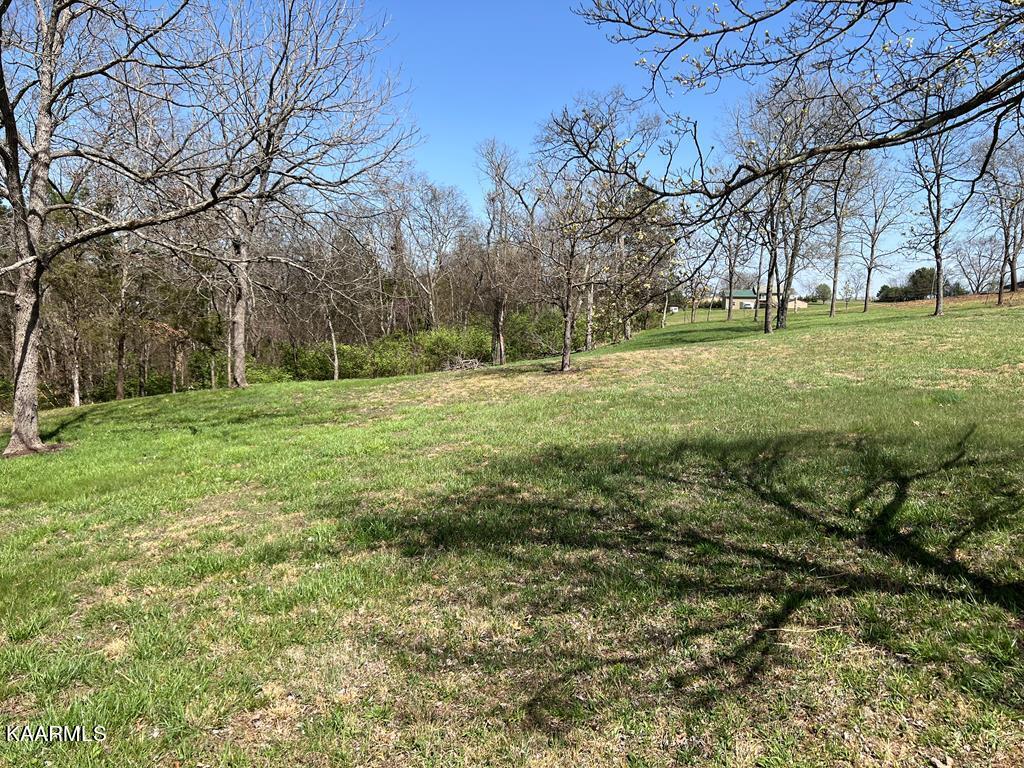 lot 31 SULLIVAN PT