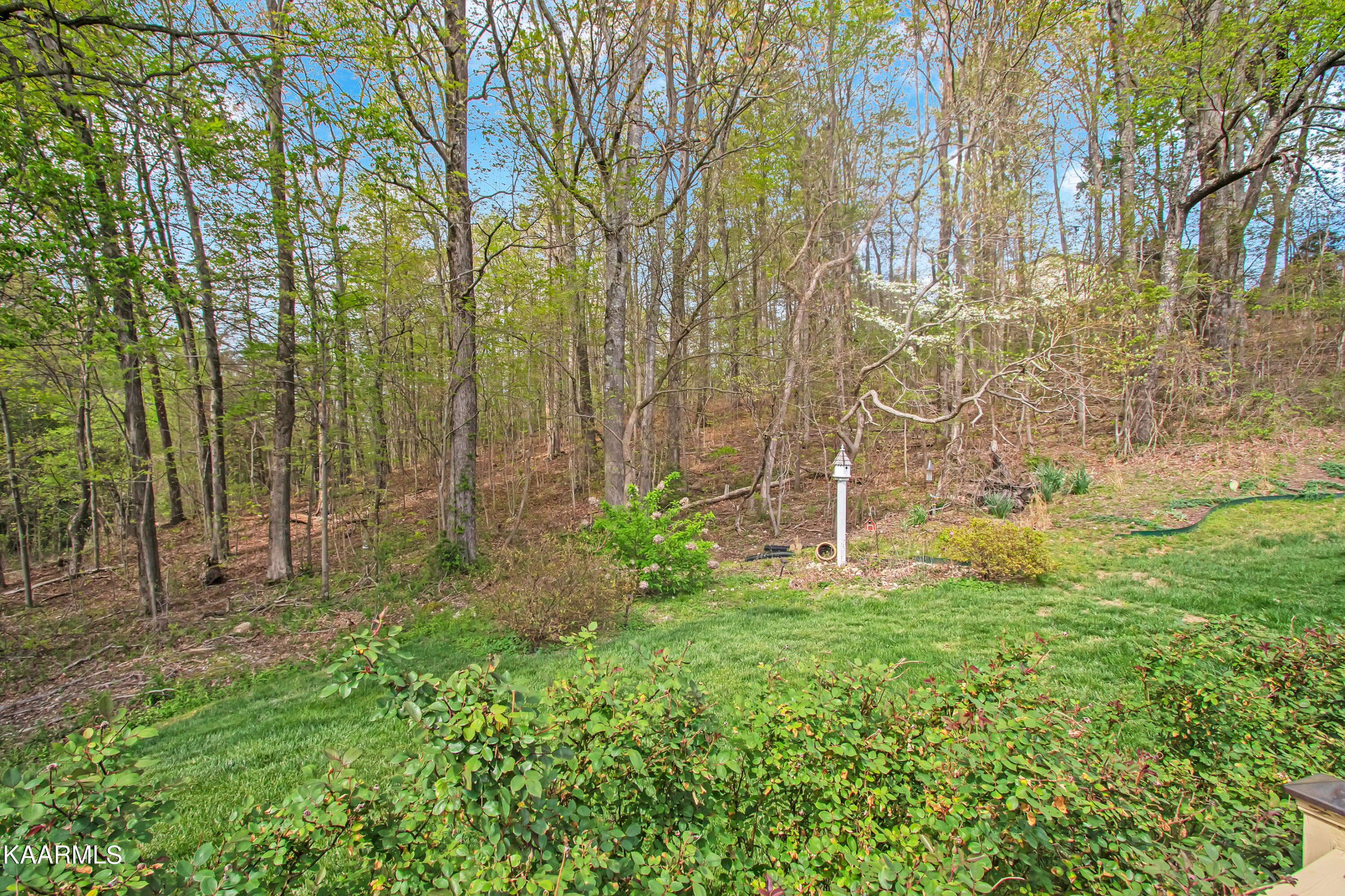 4435 Avery Village Way