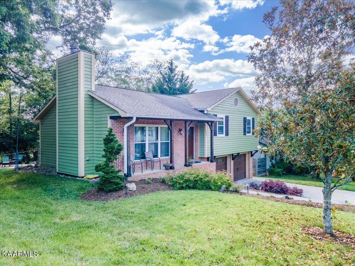 909 Tree Trunk Rd