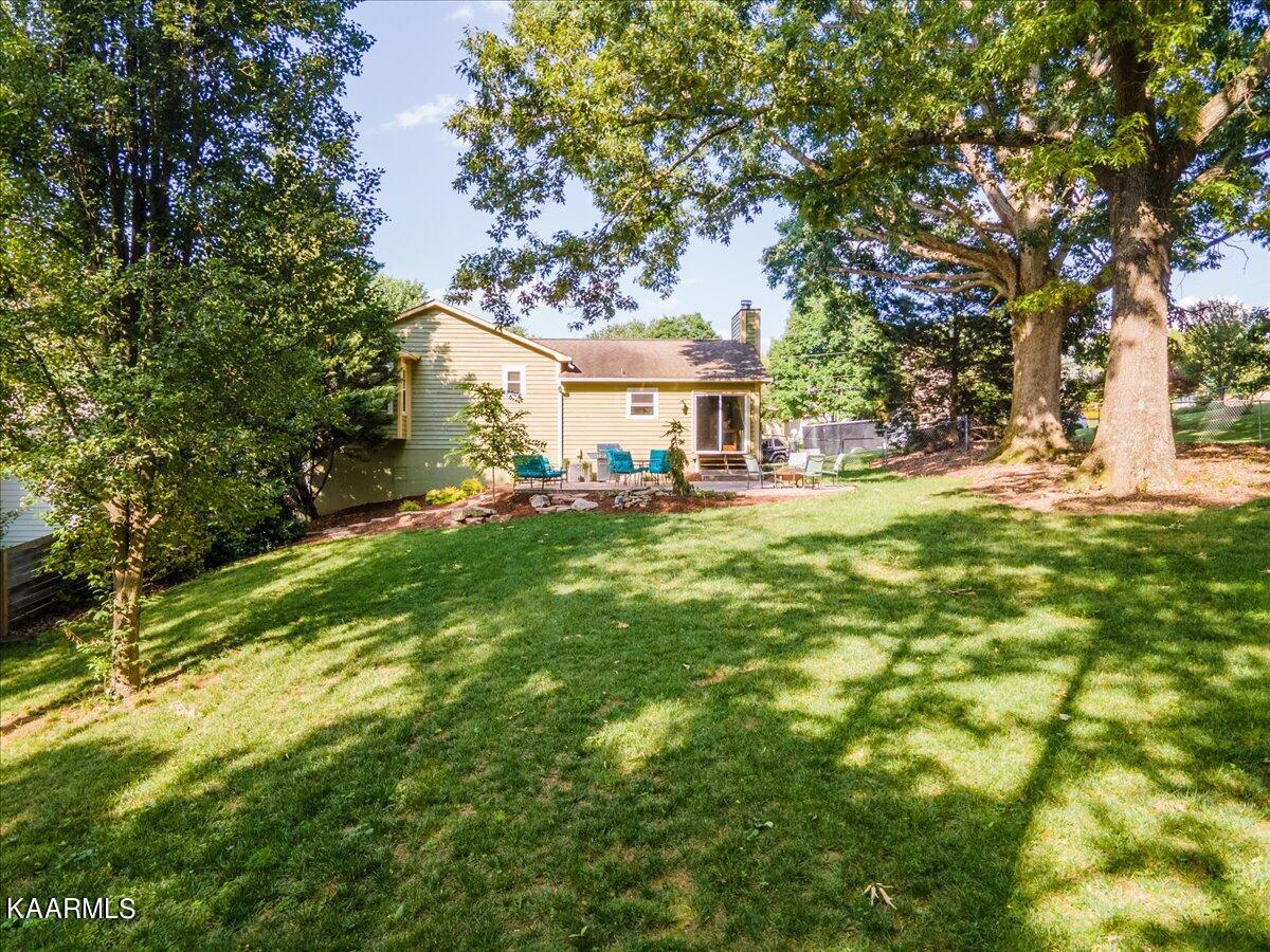 909 Tree Trunk Rd