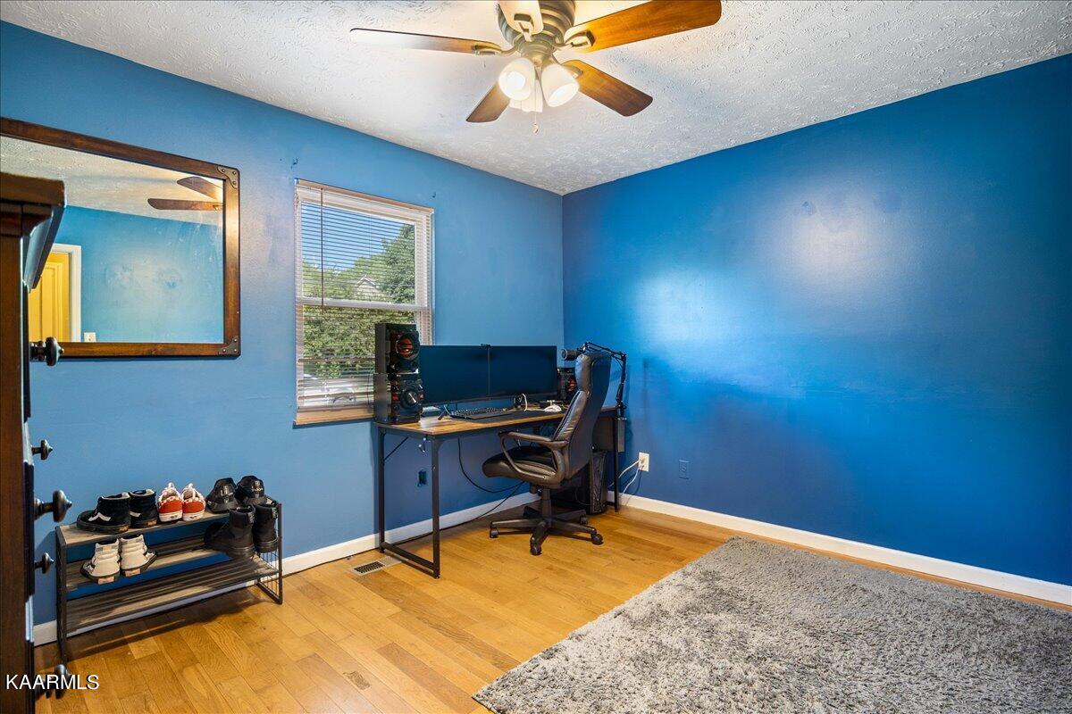909 Tree Trunk Rd