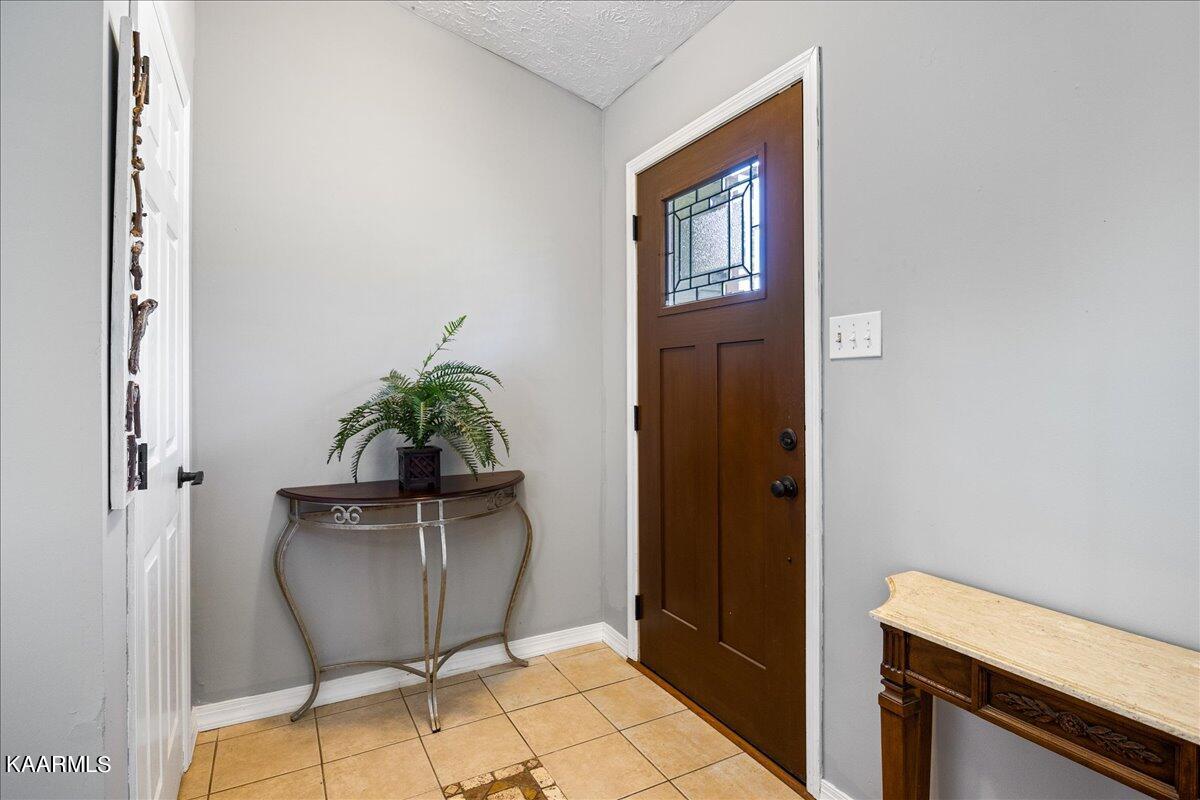 909 Tree Trunk Rd