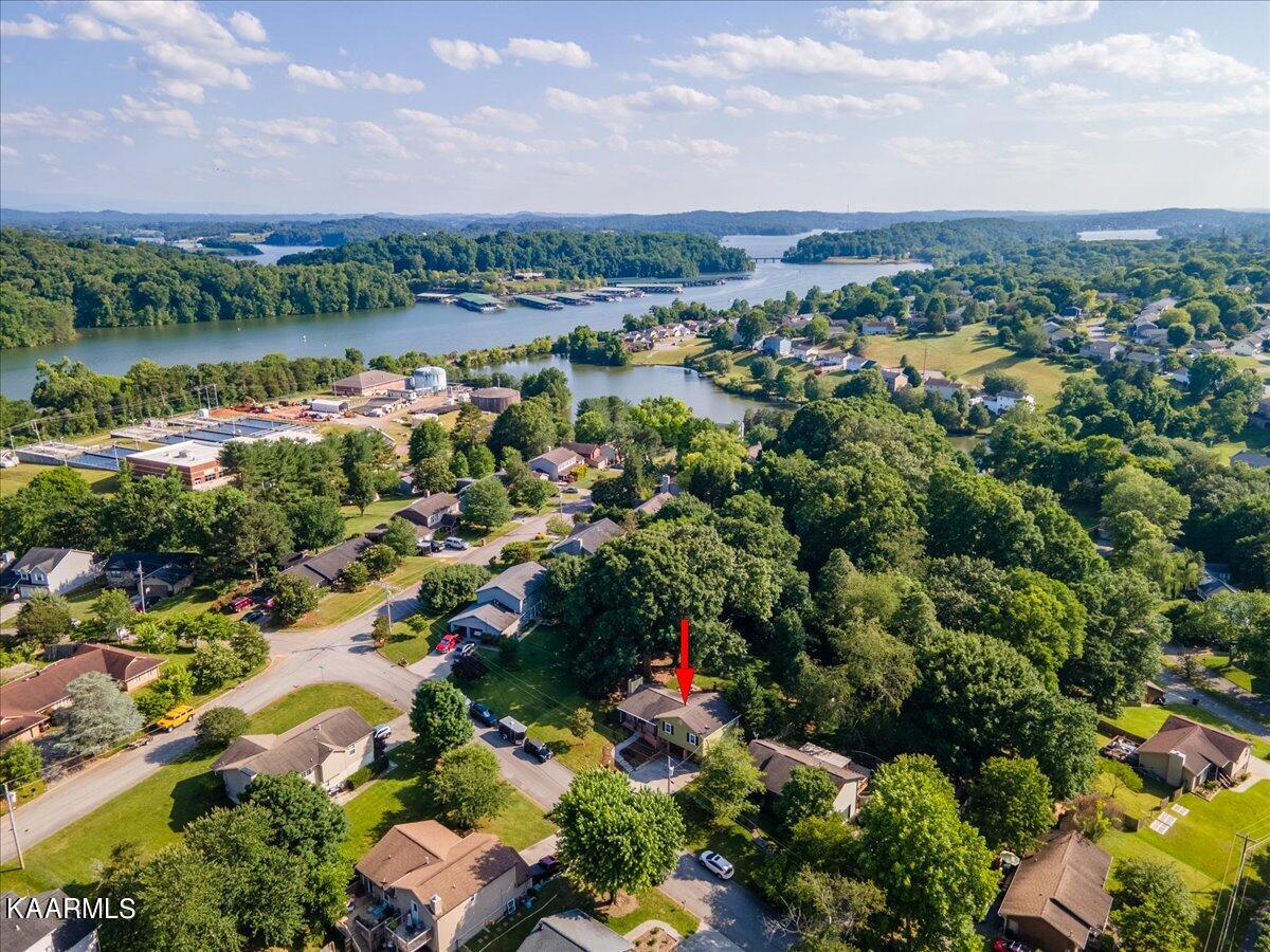 909 Tree Trunk Rd