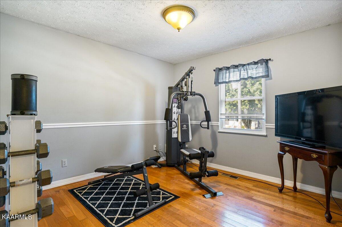 909 Tree Trunk Rd