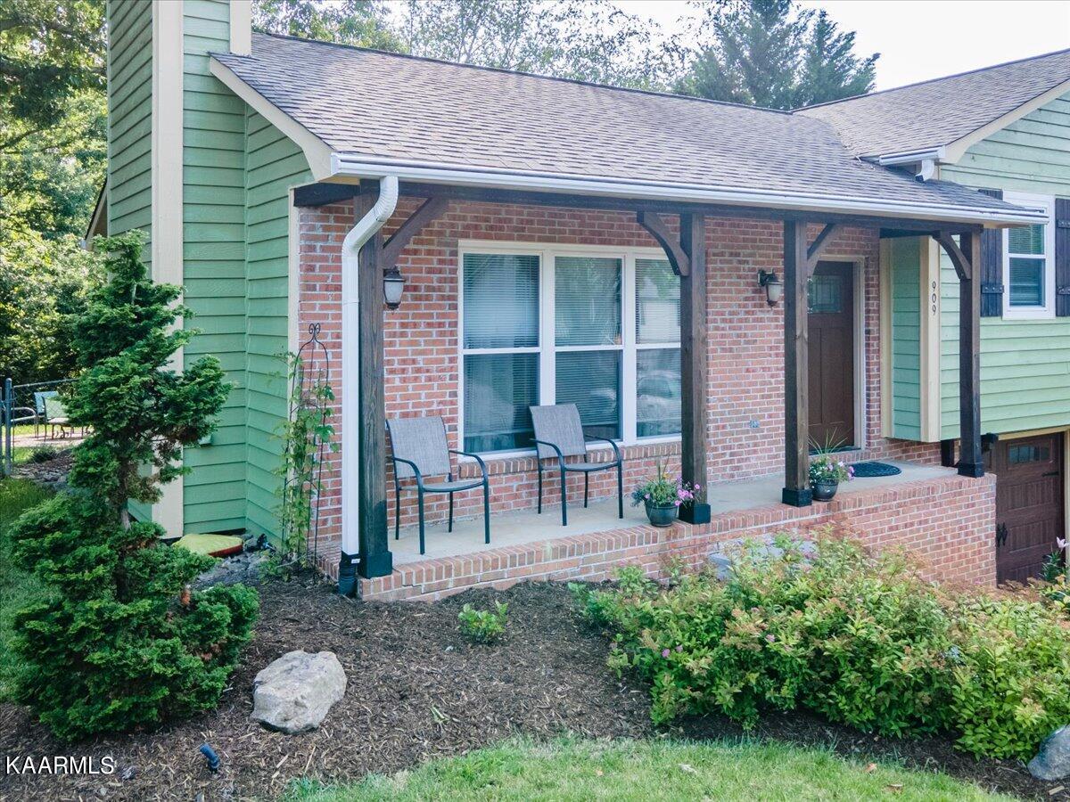 909 Tree Trunk Rd