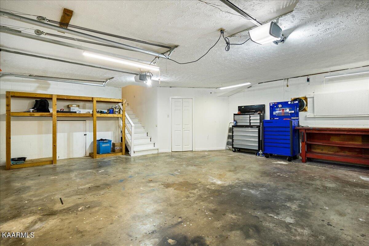 909 Tree Trunk Rd