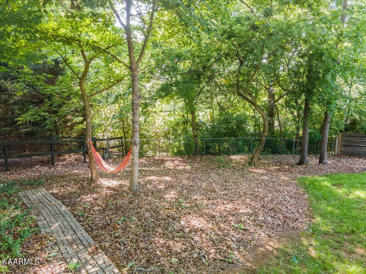 909 Tree Trunk Rd