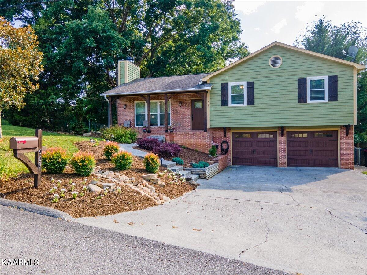 909 Tree Trunk Rd
