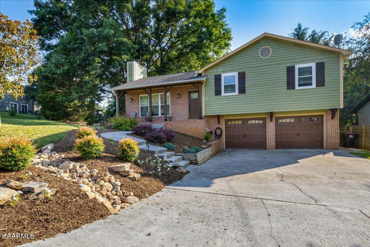909 Tree Trunk Rd