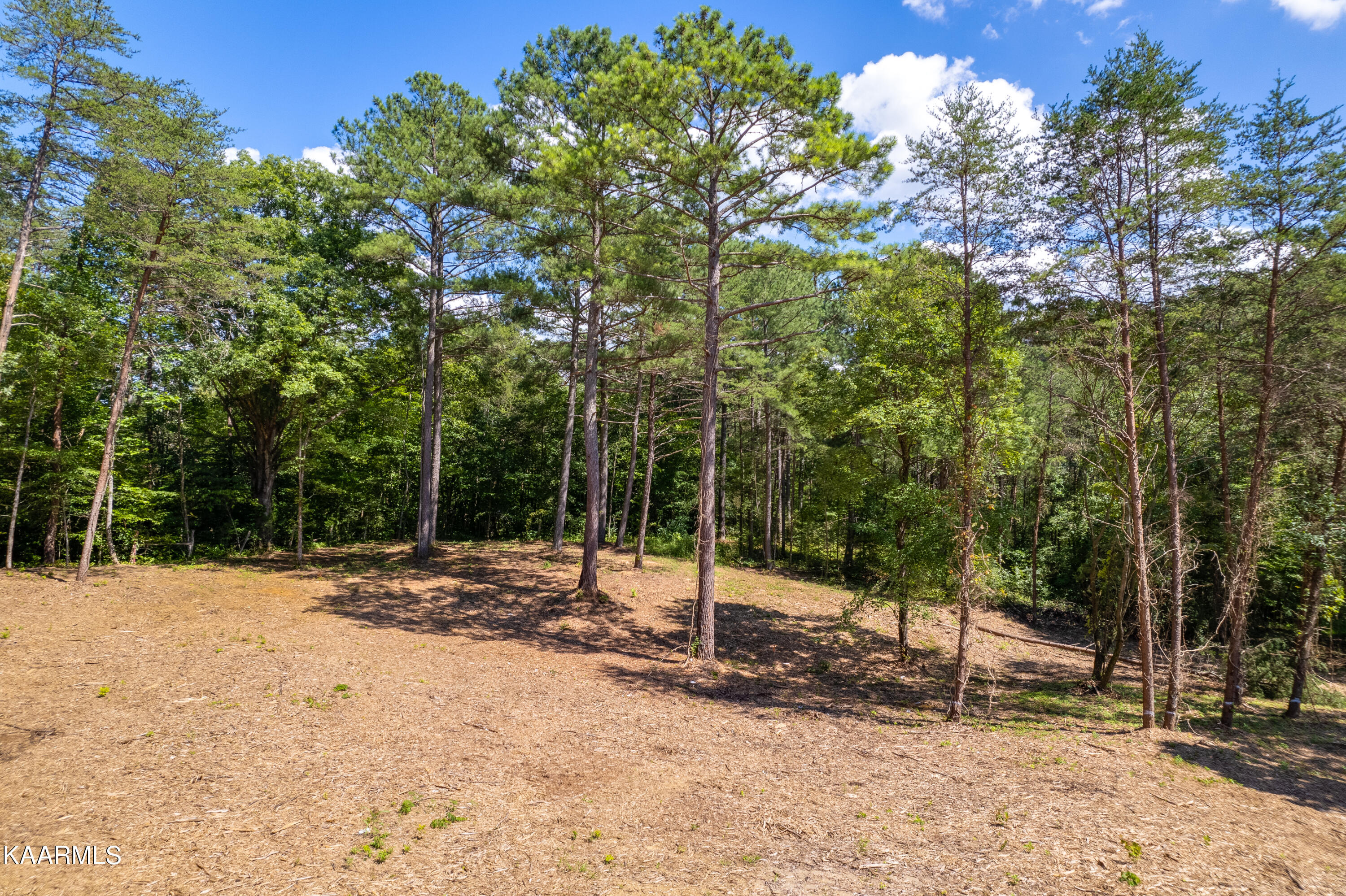 9165 Copper Valley Rd