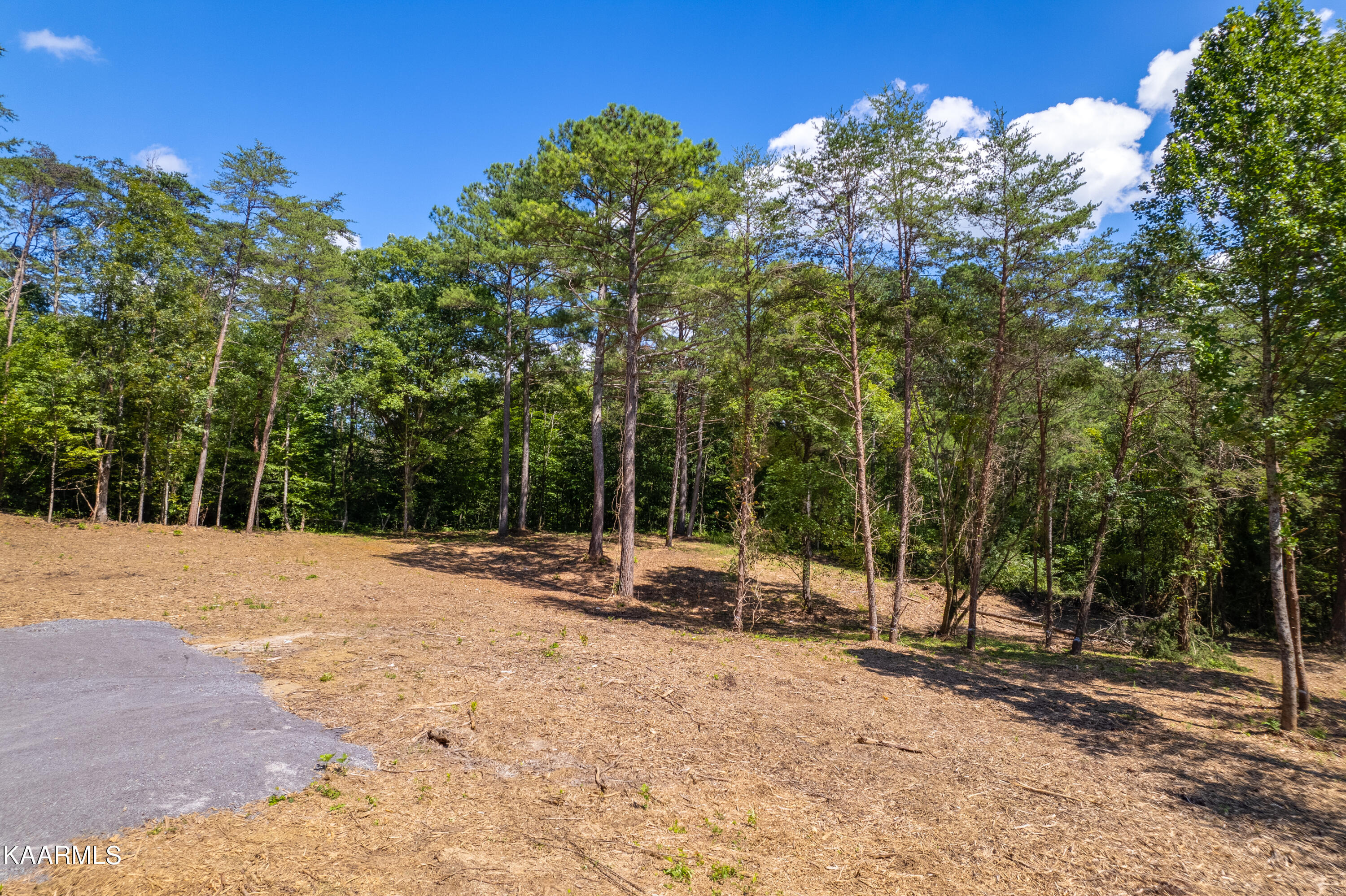 9165 Copper Valley Rd