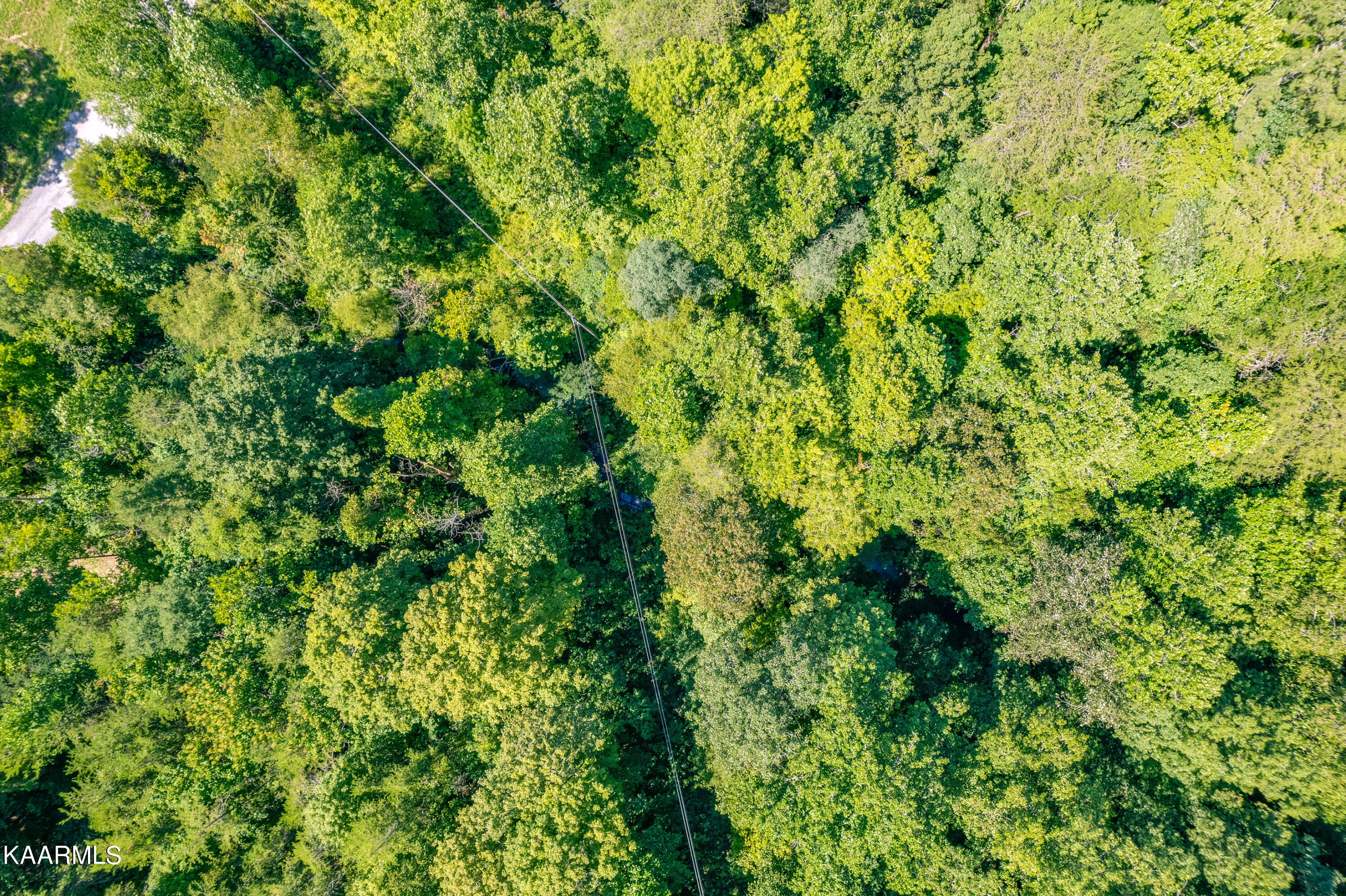 9165 Copper Valley Rd