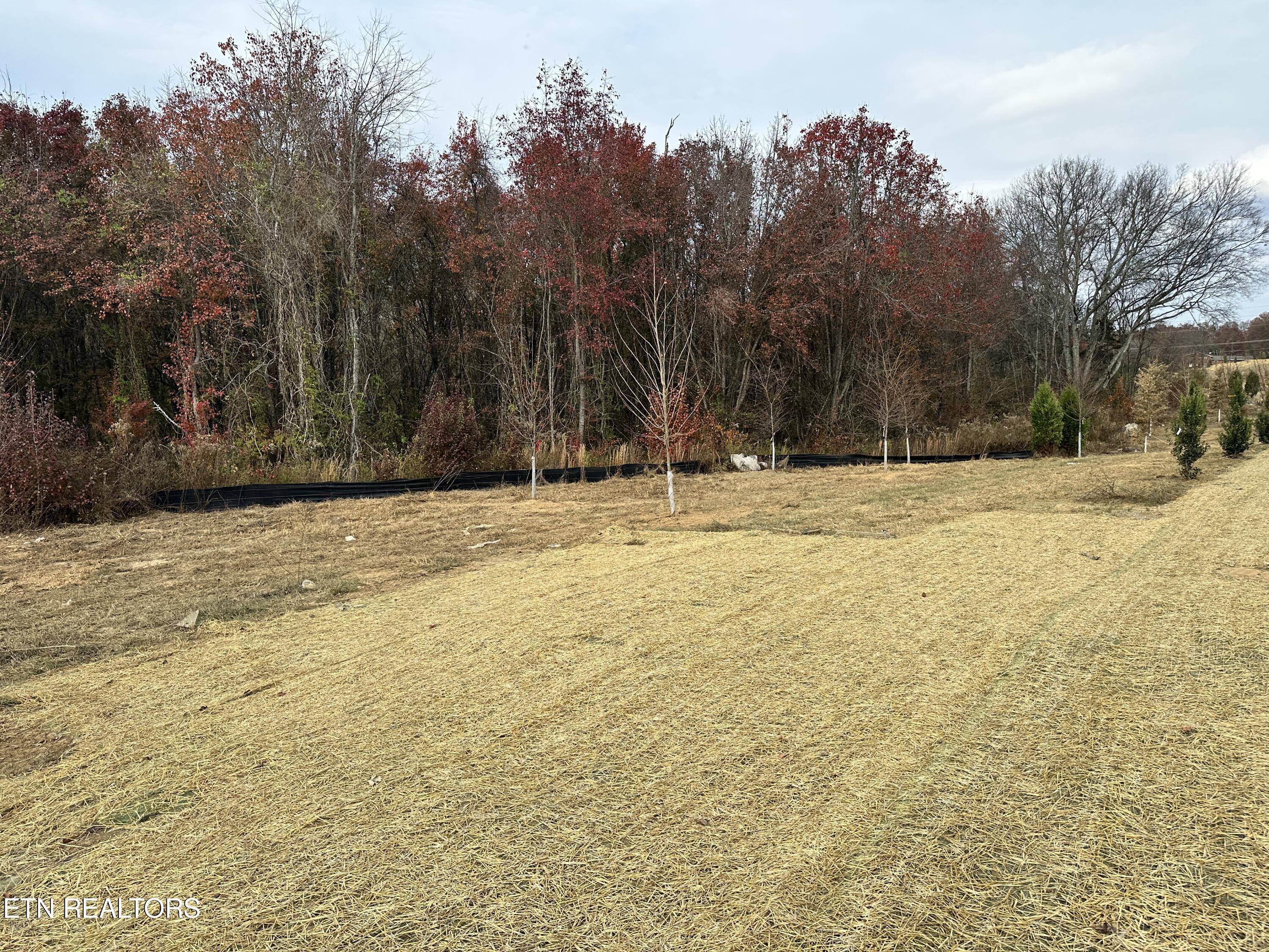 1616 Mountain Quail Circle