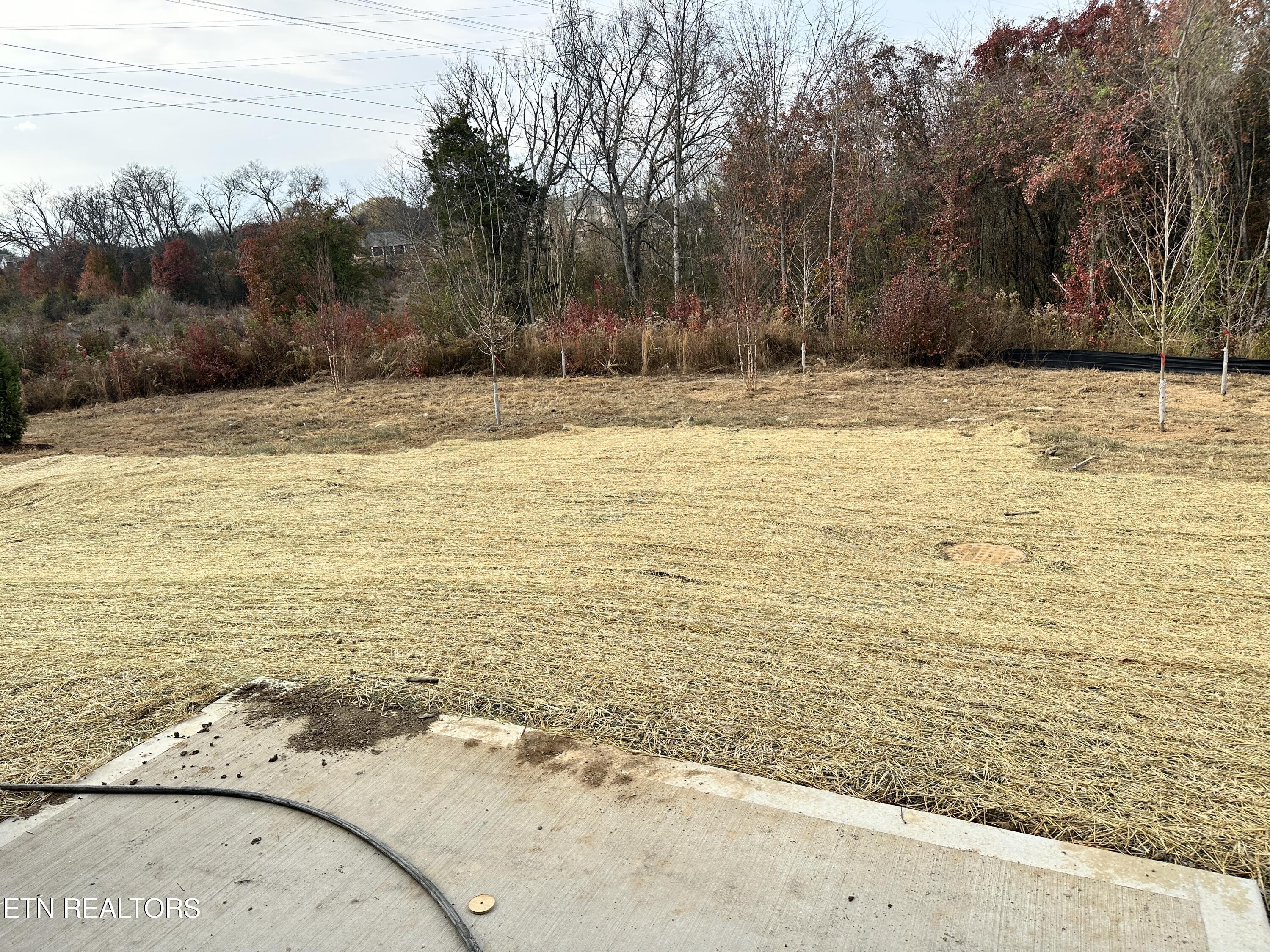 1616 Mountain Quail Circle