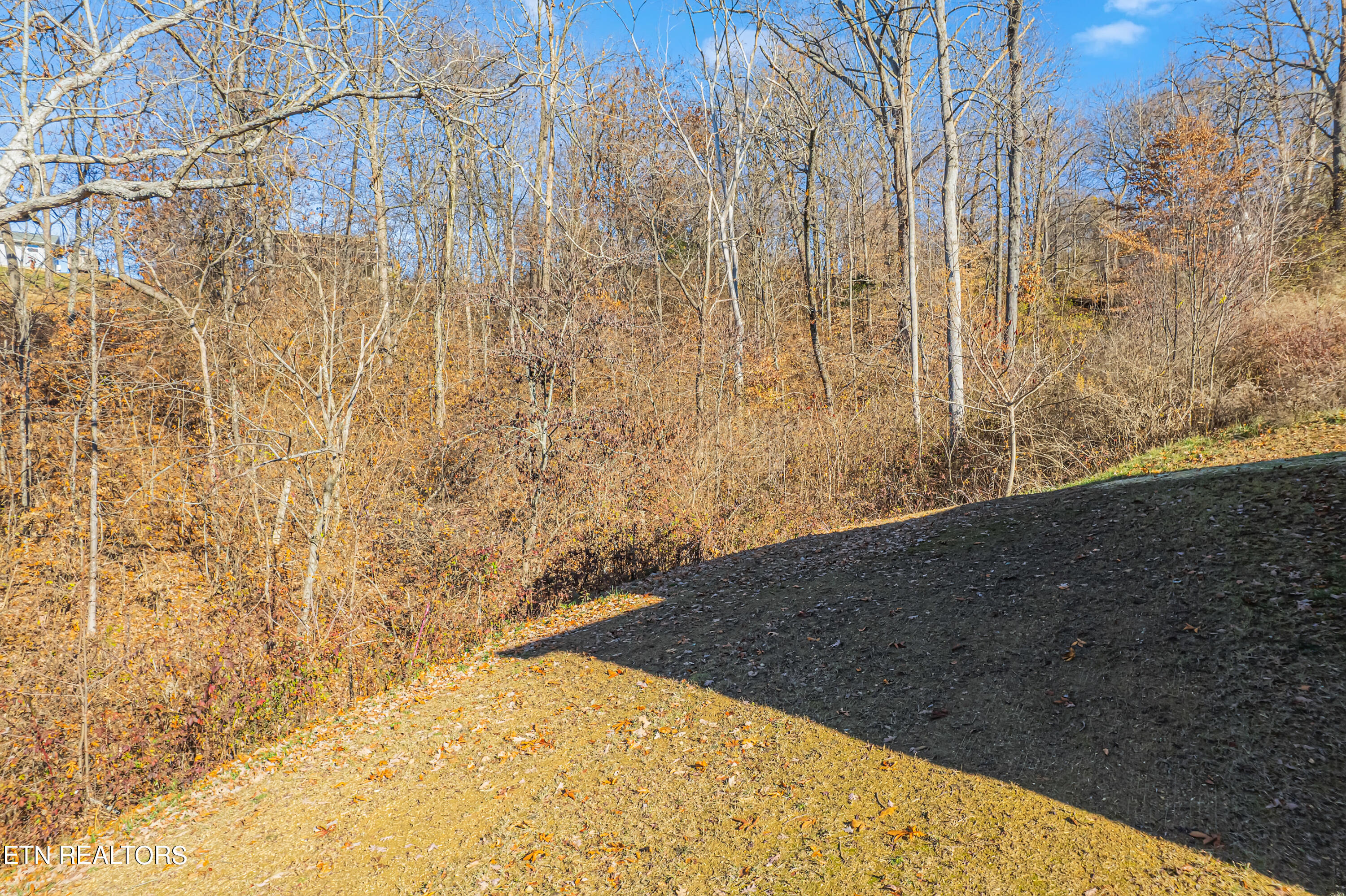 3659 Meredith Lynn Way