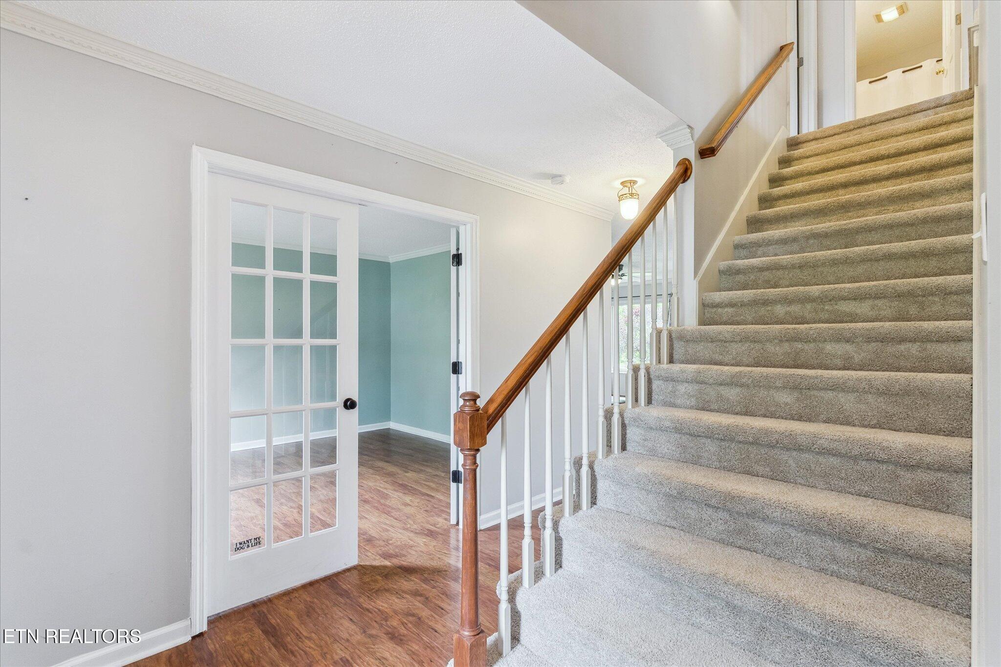 7519 Saddlebrooke Drive