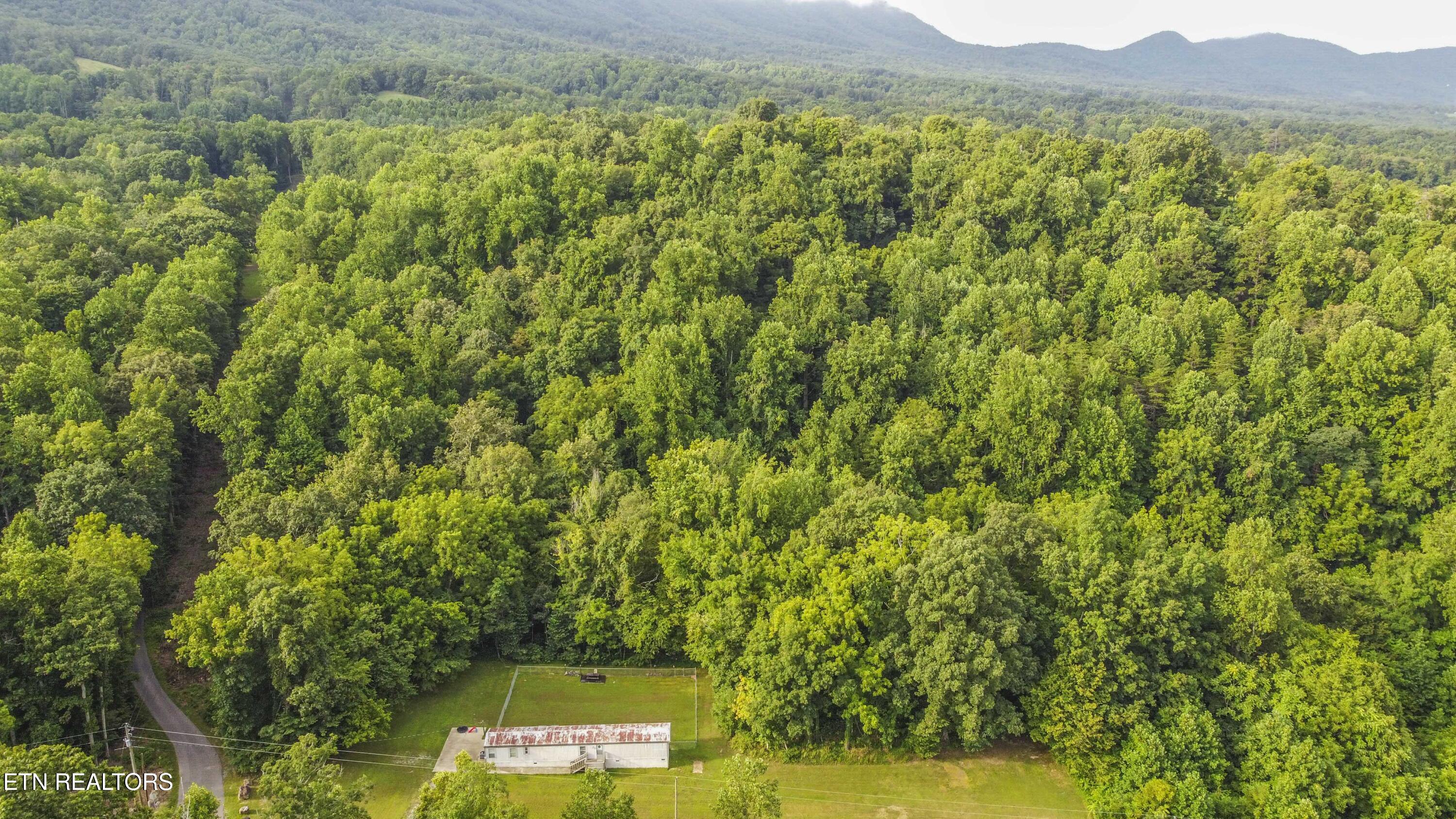 2920 Grapevine Hollow Road