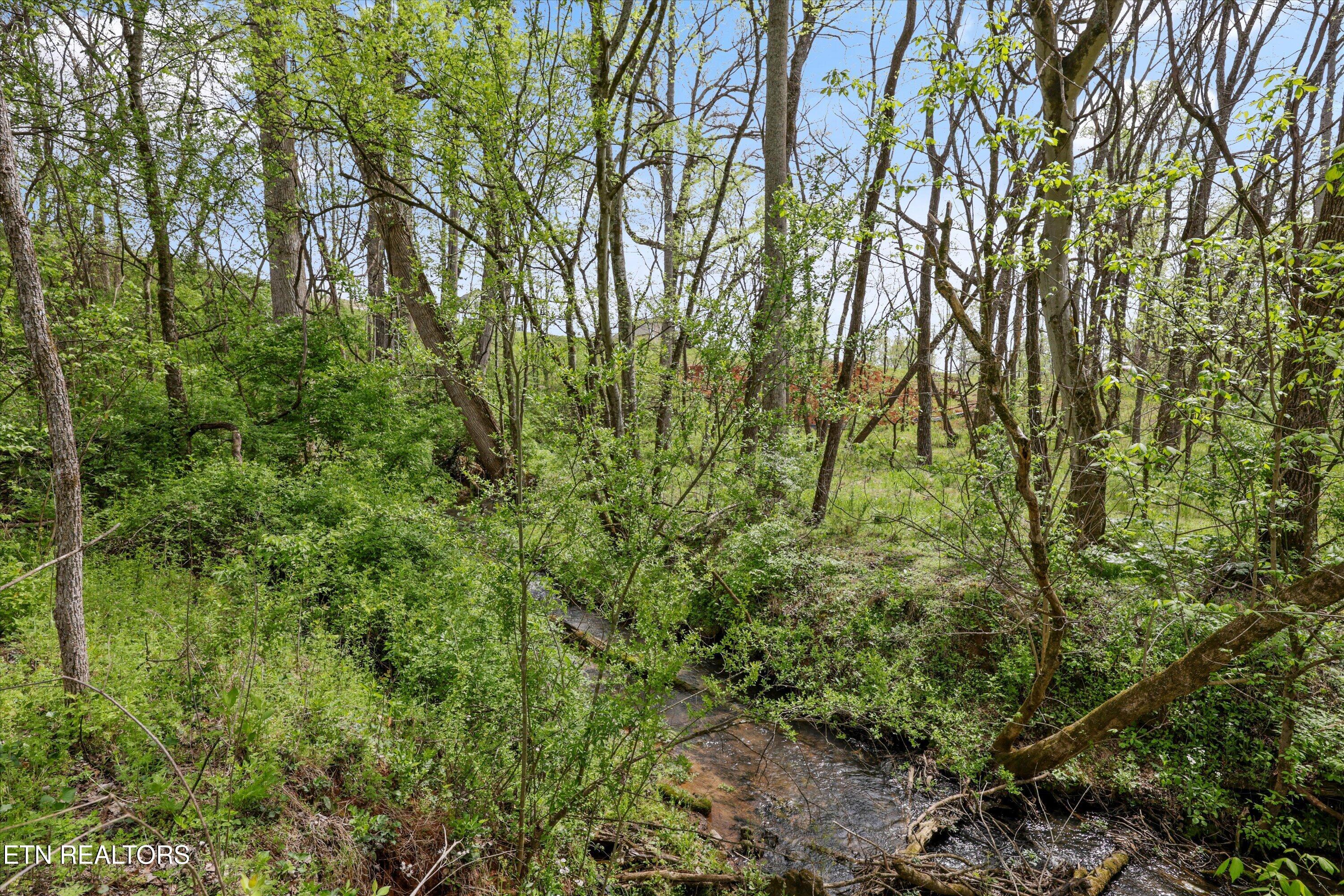 623 Farm Of The Smokies Way