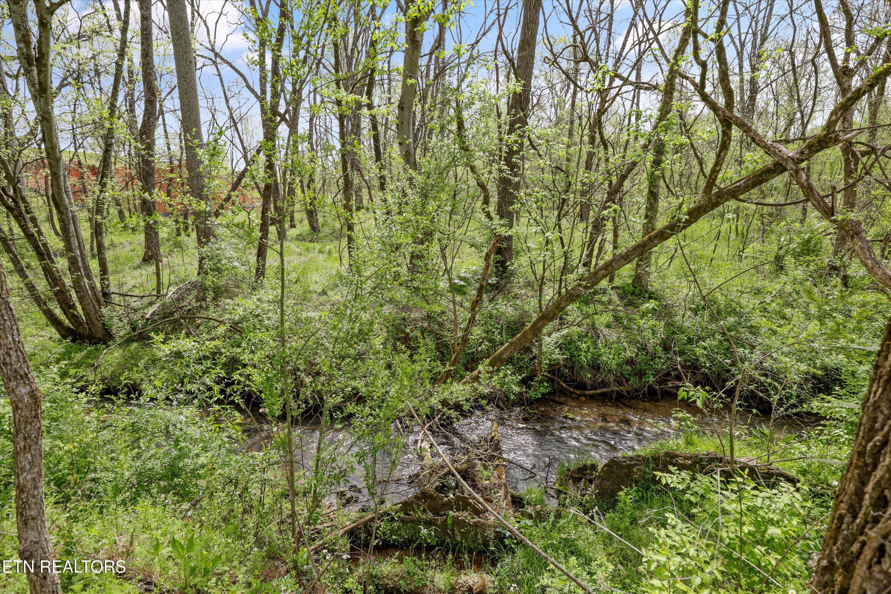 623 Farm Of The Smokies Way