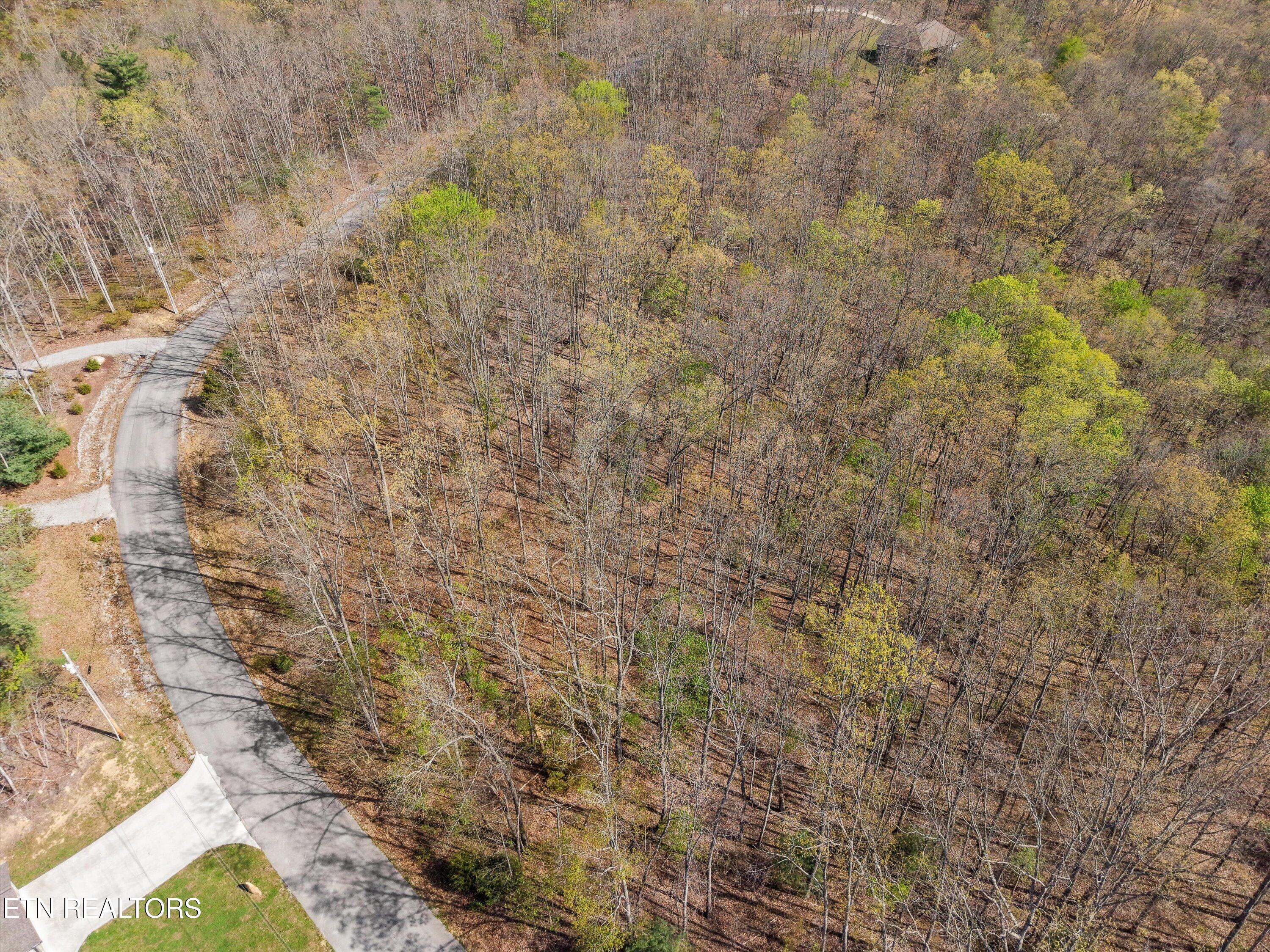 313 Country Wood Place