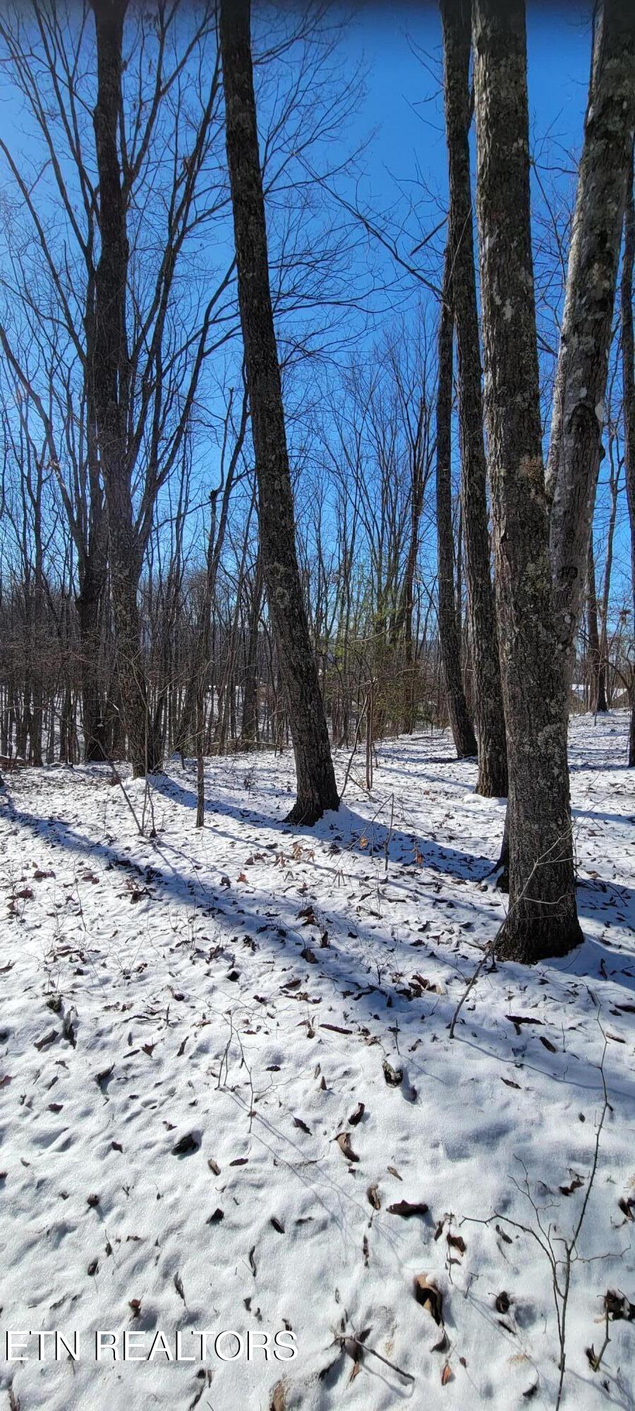 313 Country Wood Place