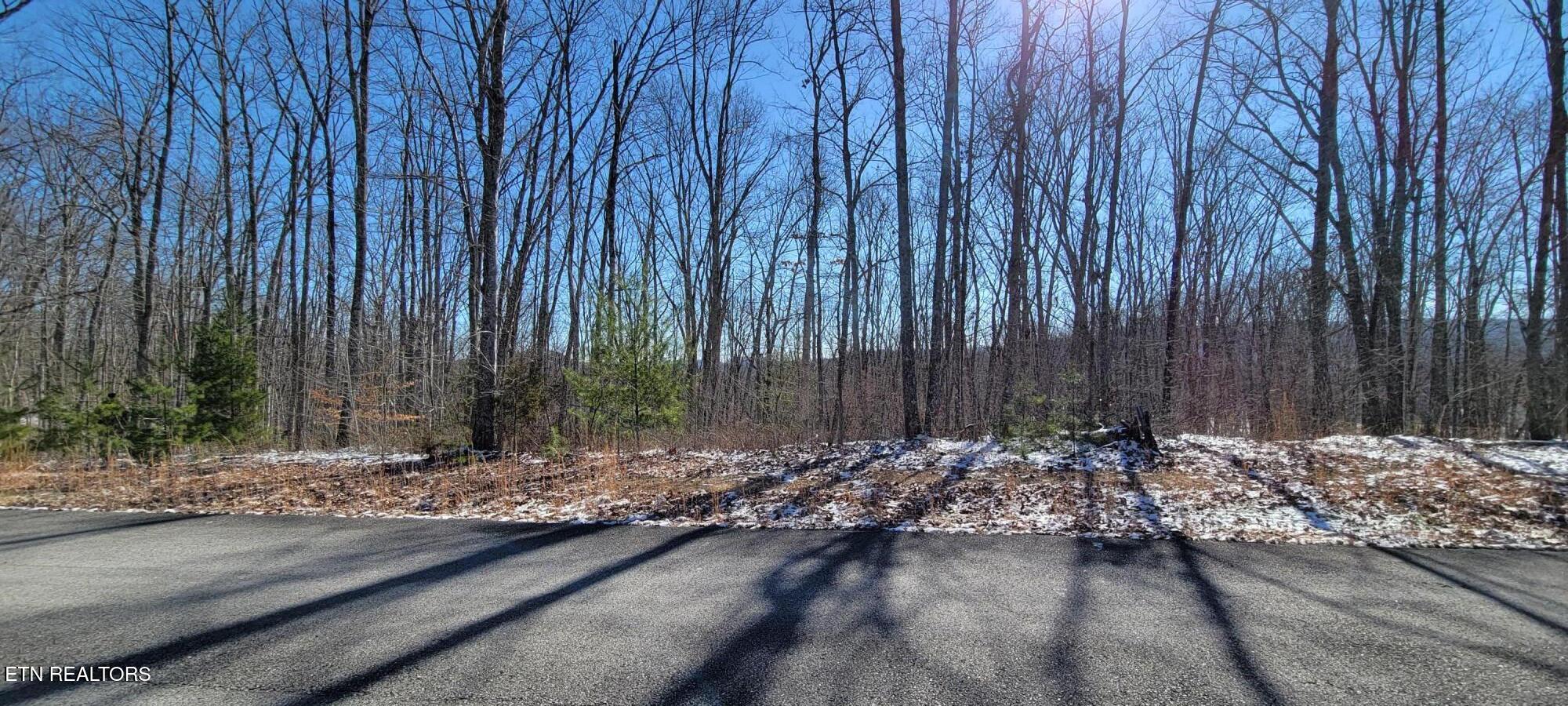 313 Country Wood Place