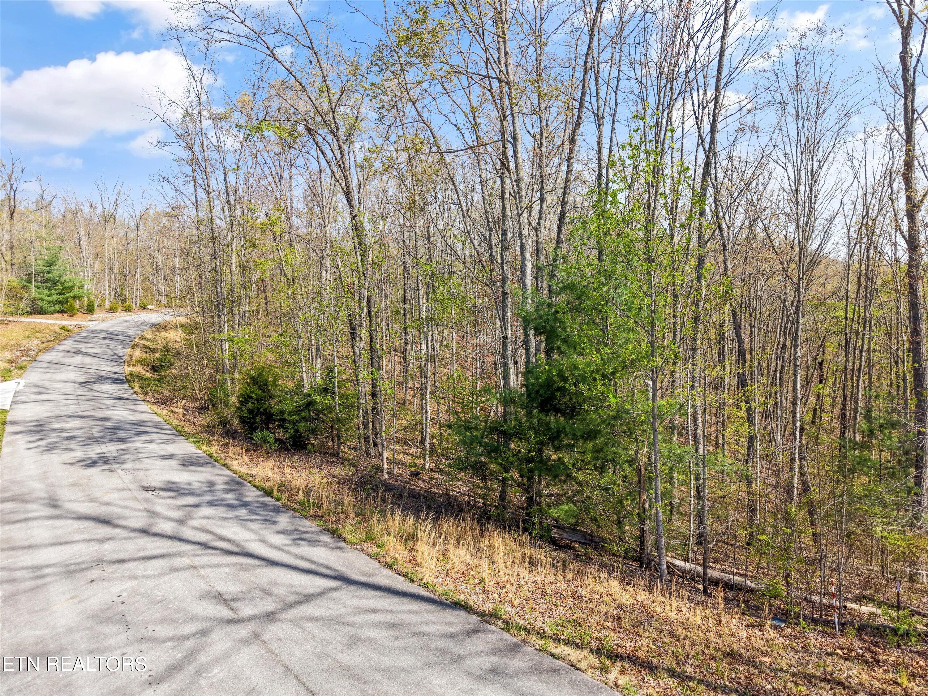 313 Country Wood Place