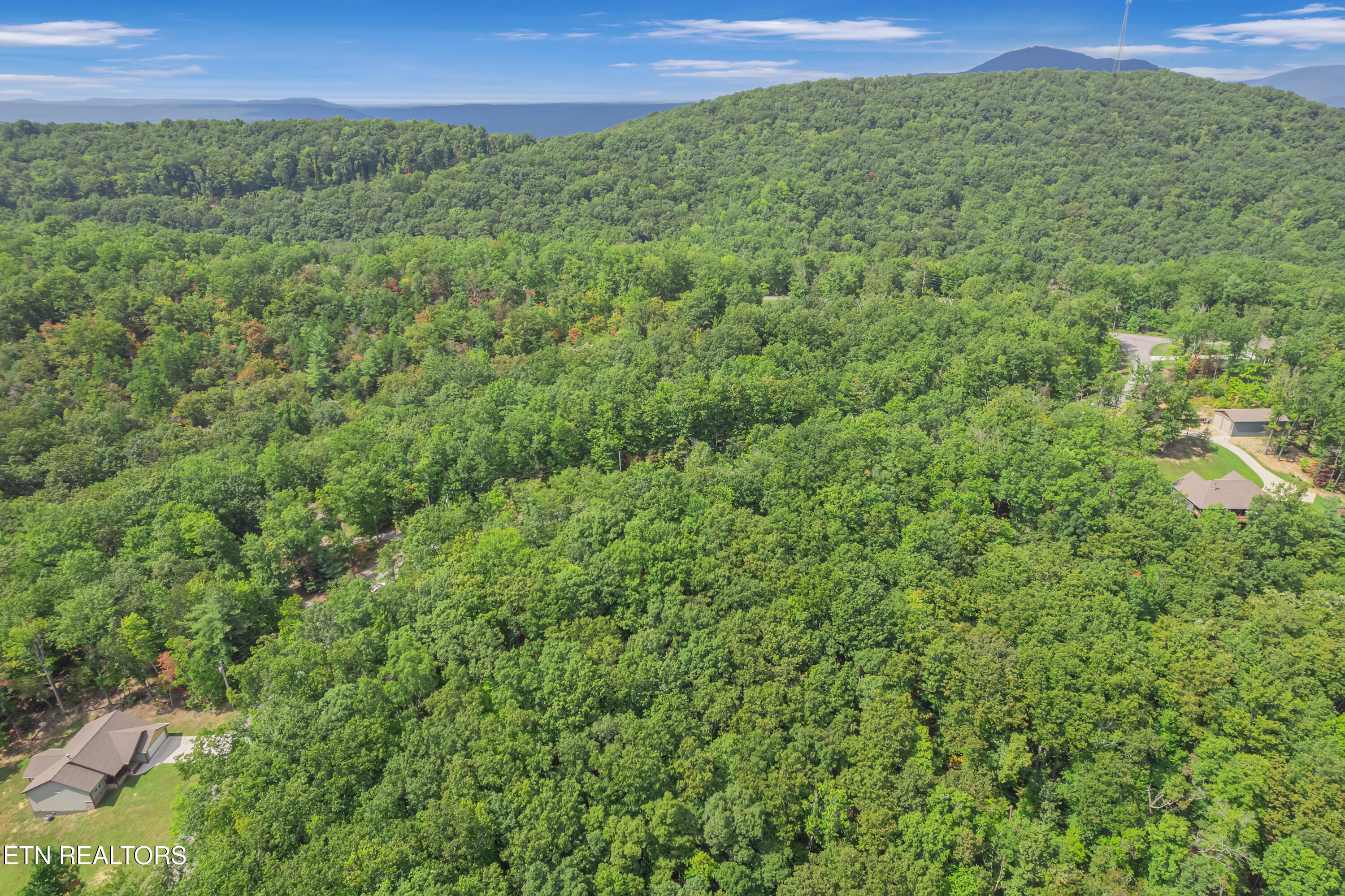 313 Country Wood Place