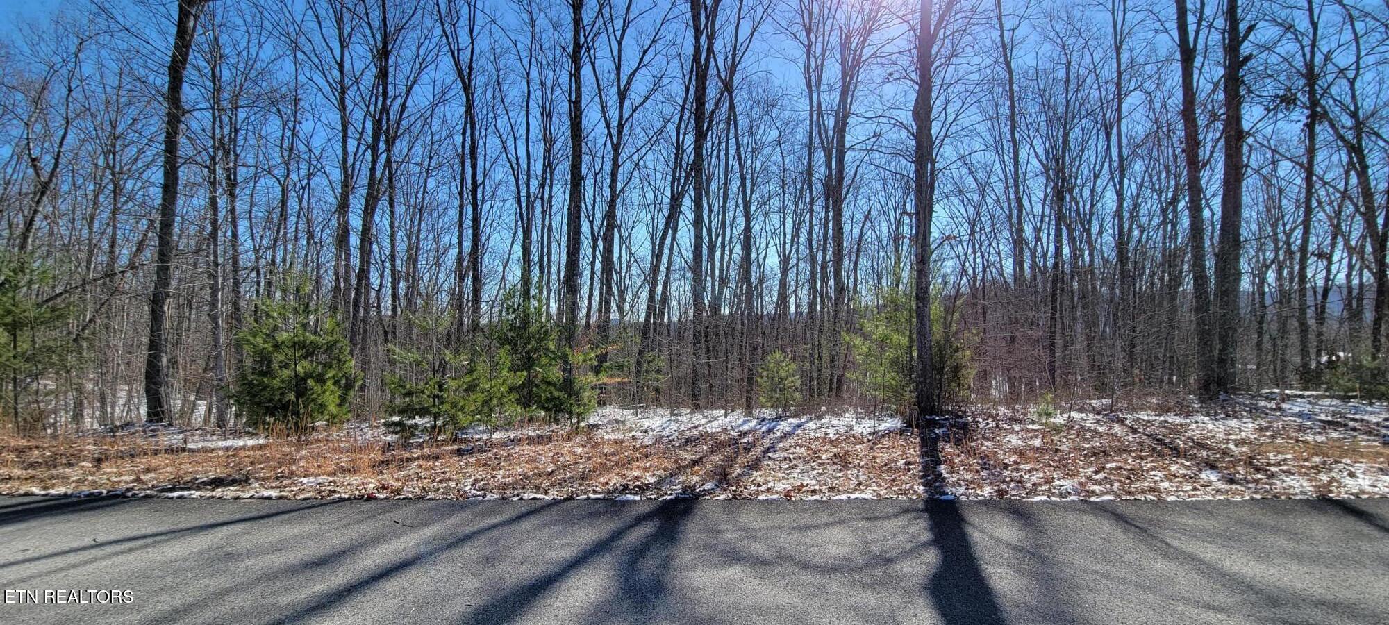 313 Country Wood Place