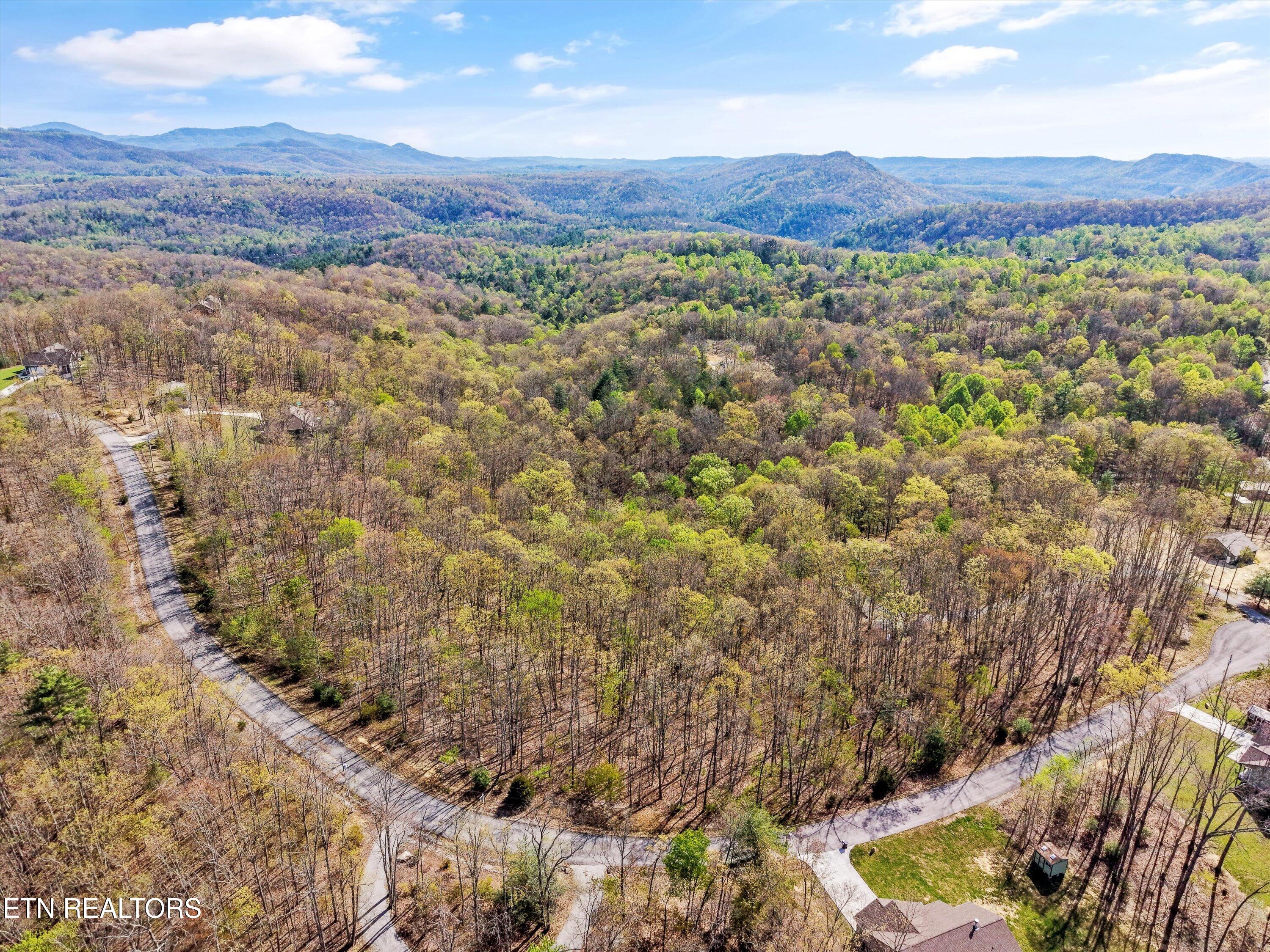 313 Country Wood Place