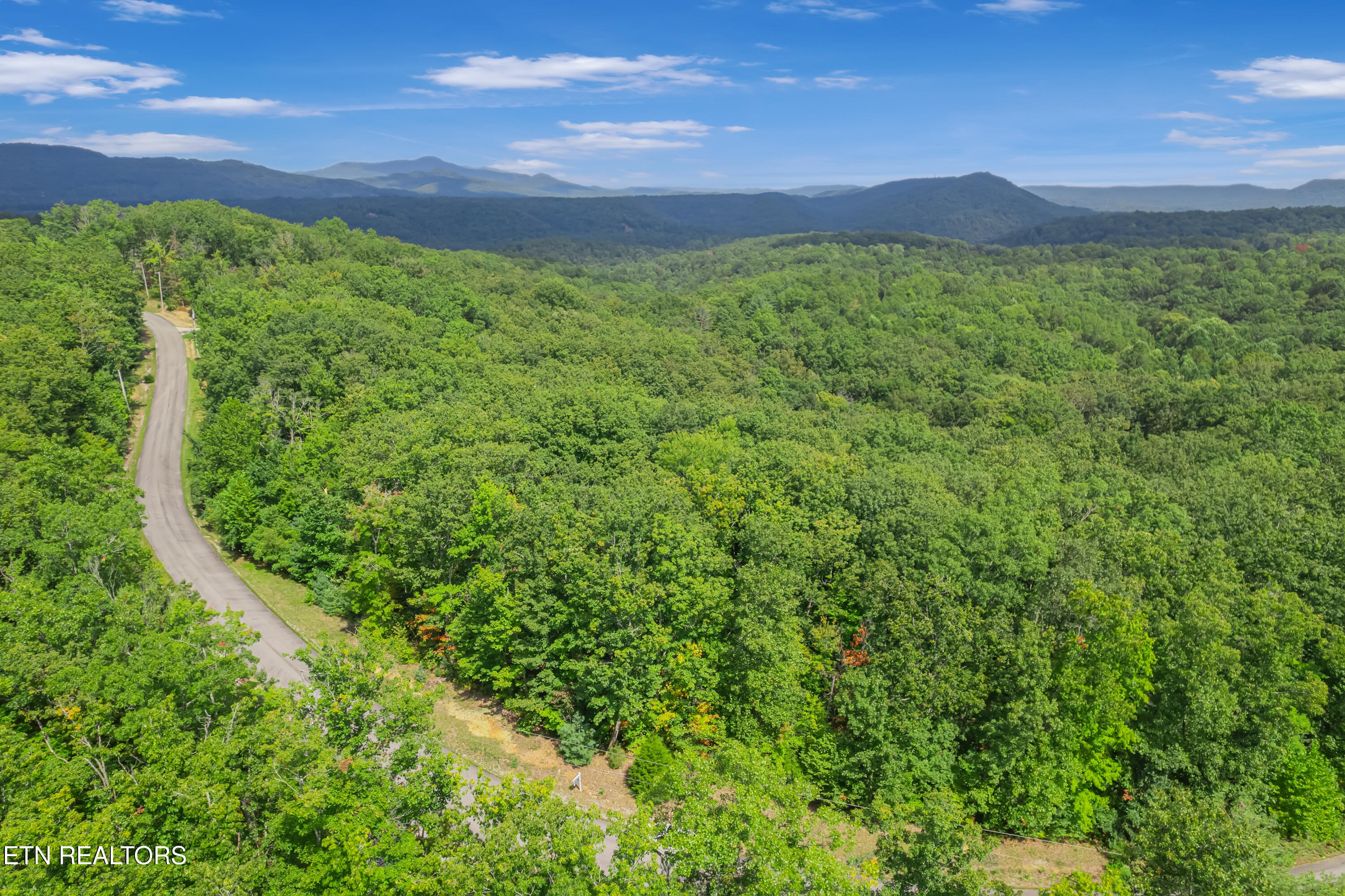 313 Country Wood Place