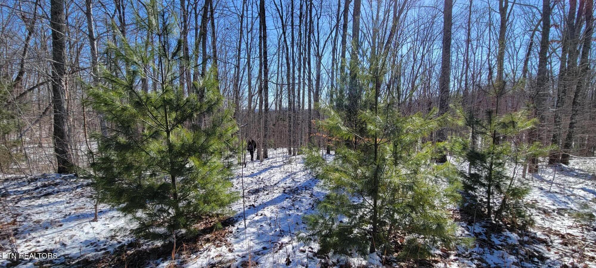 313 Country Wood Place