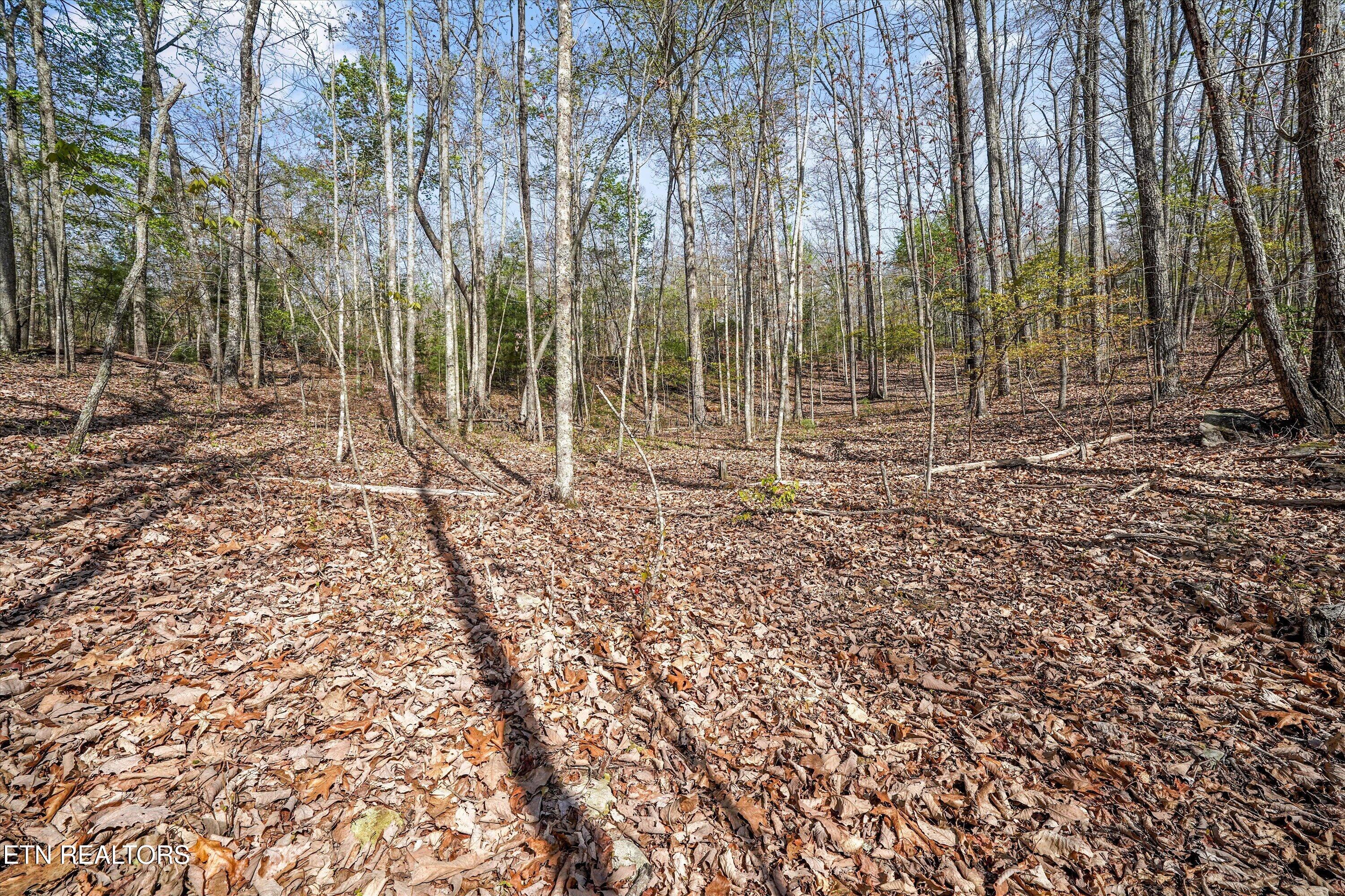 313 Country Wood Place