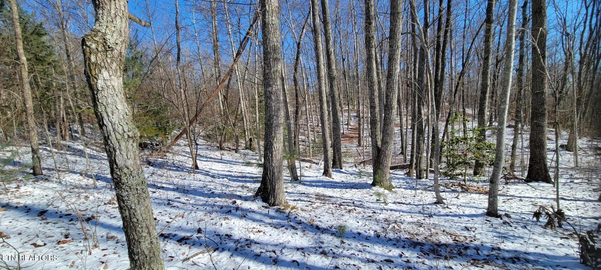 313 Country Wood Place