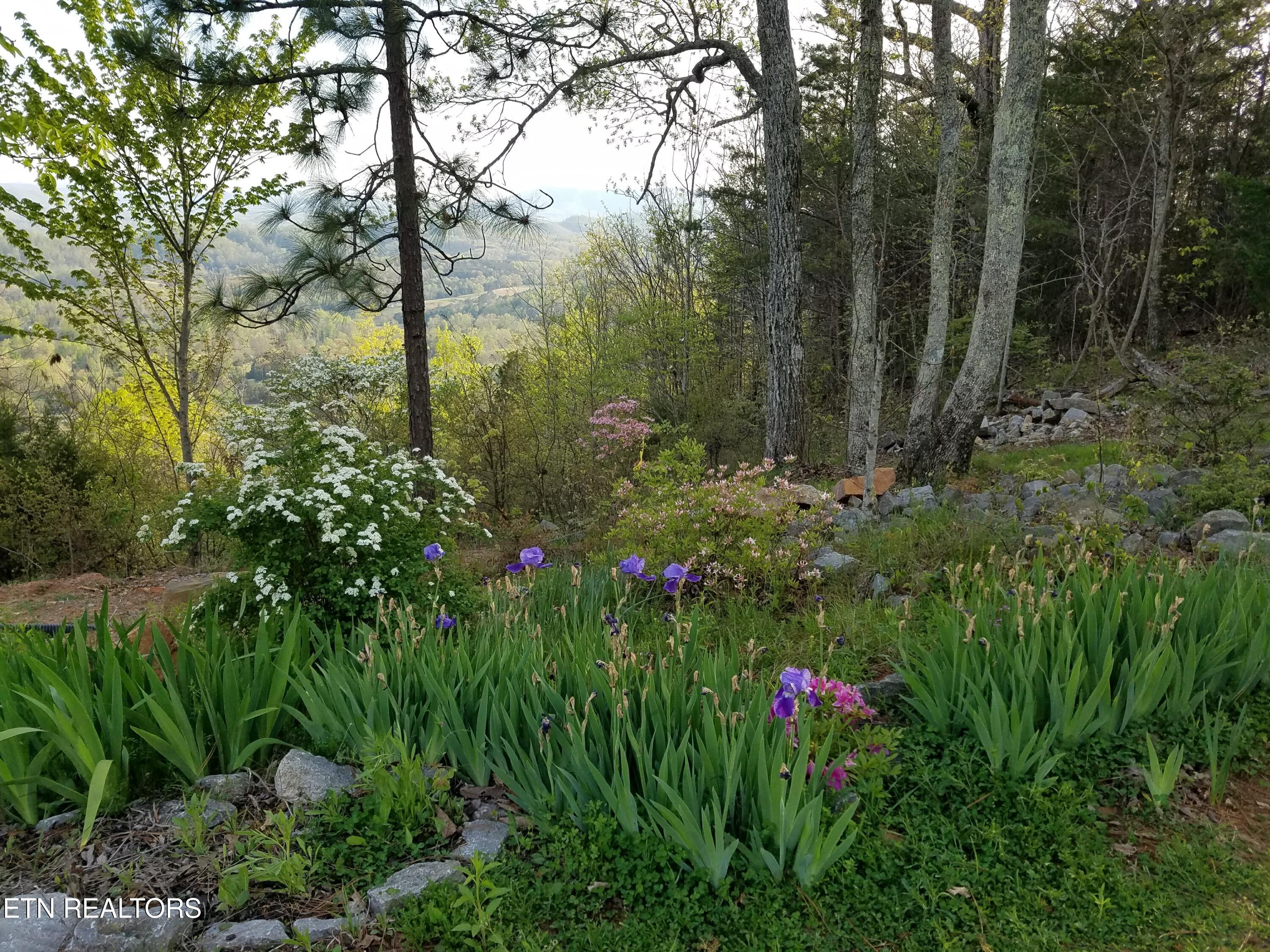 330 Laurel Mtn Rd