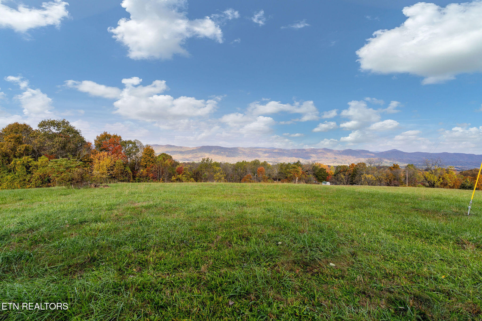 647 Dividing Ridge Rd