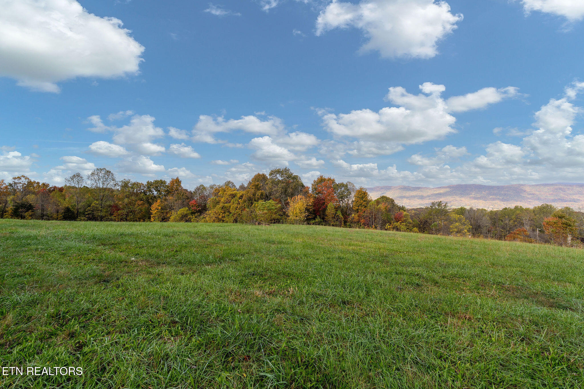 647 Dividing Ridge Rd