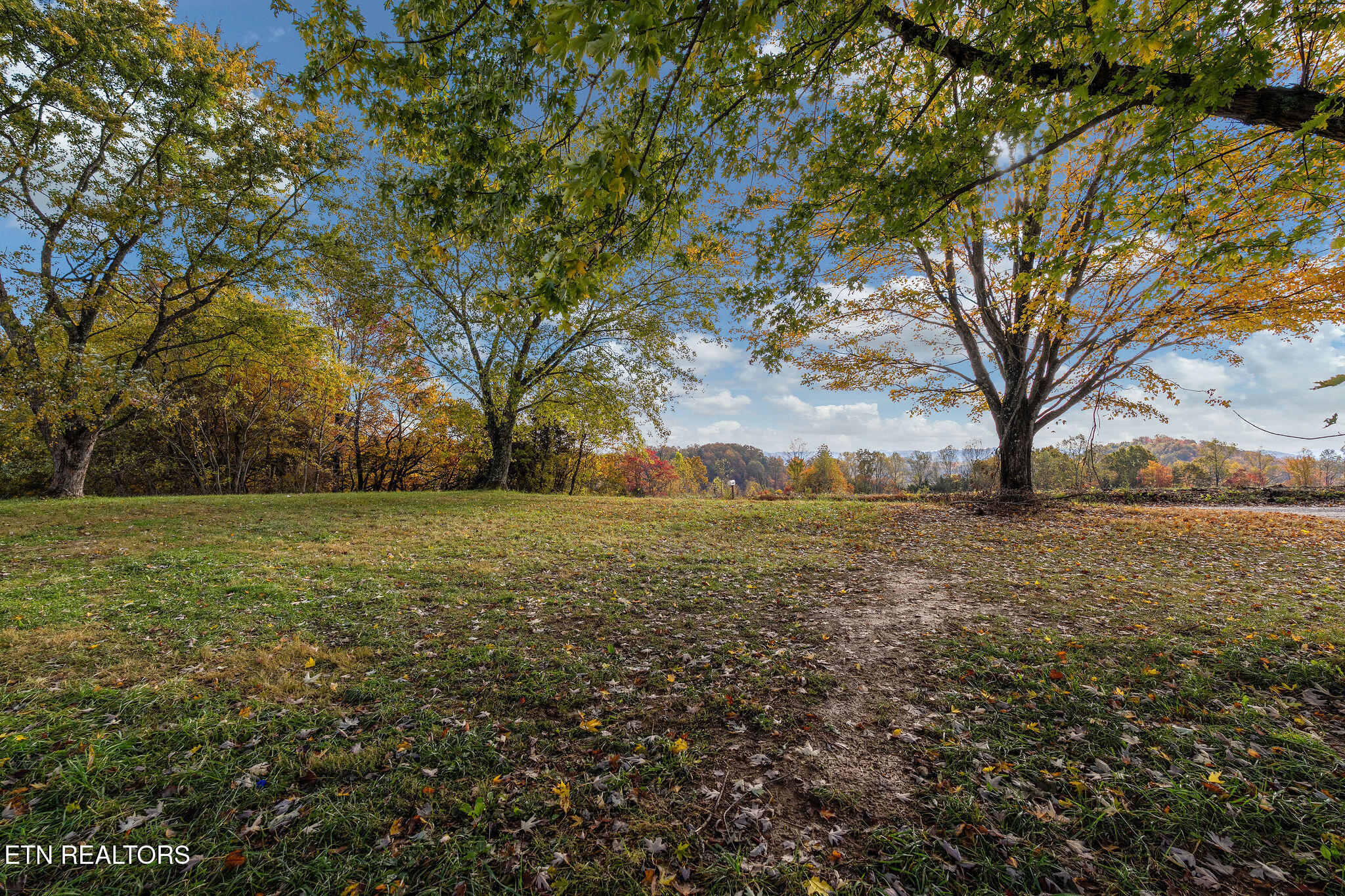 647 Dividing Ridge Rd