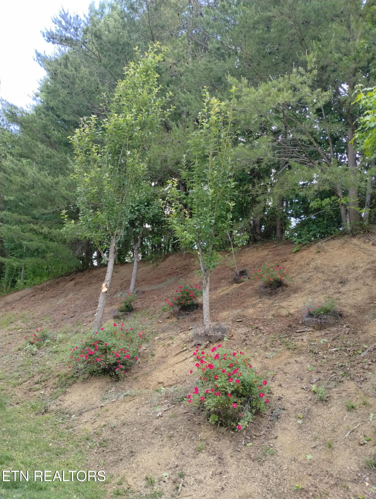 1026 Saint Johns Drive