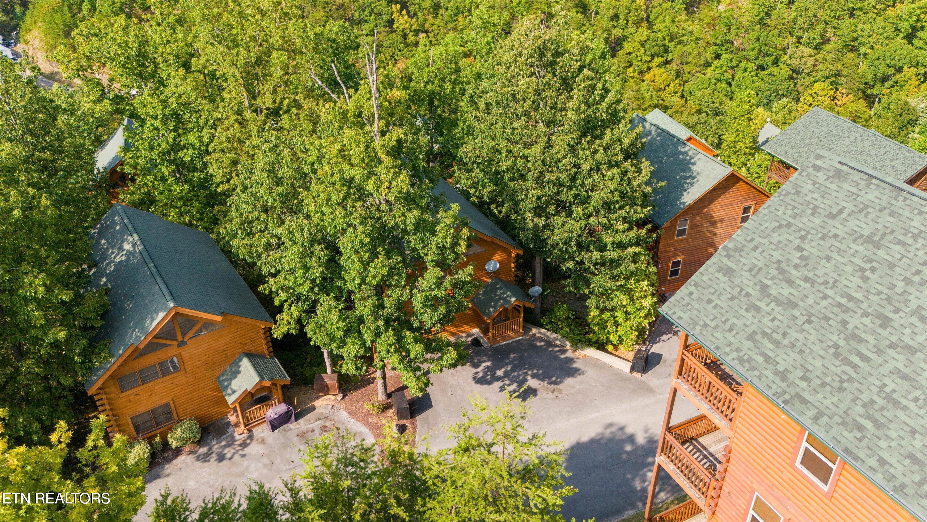 1109 Autumn Path Way