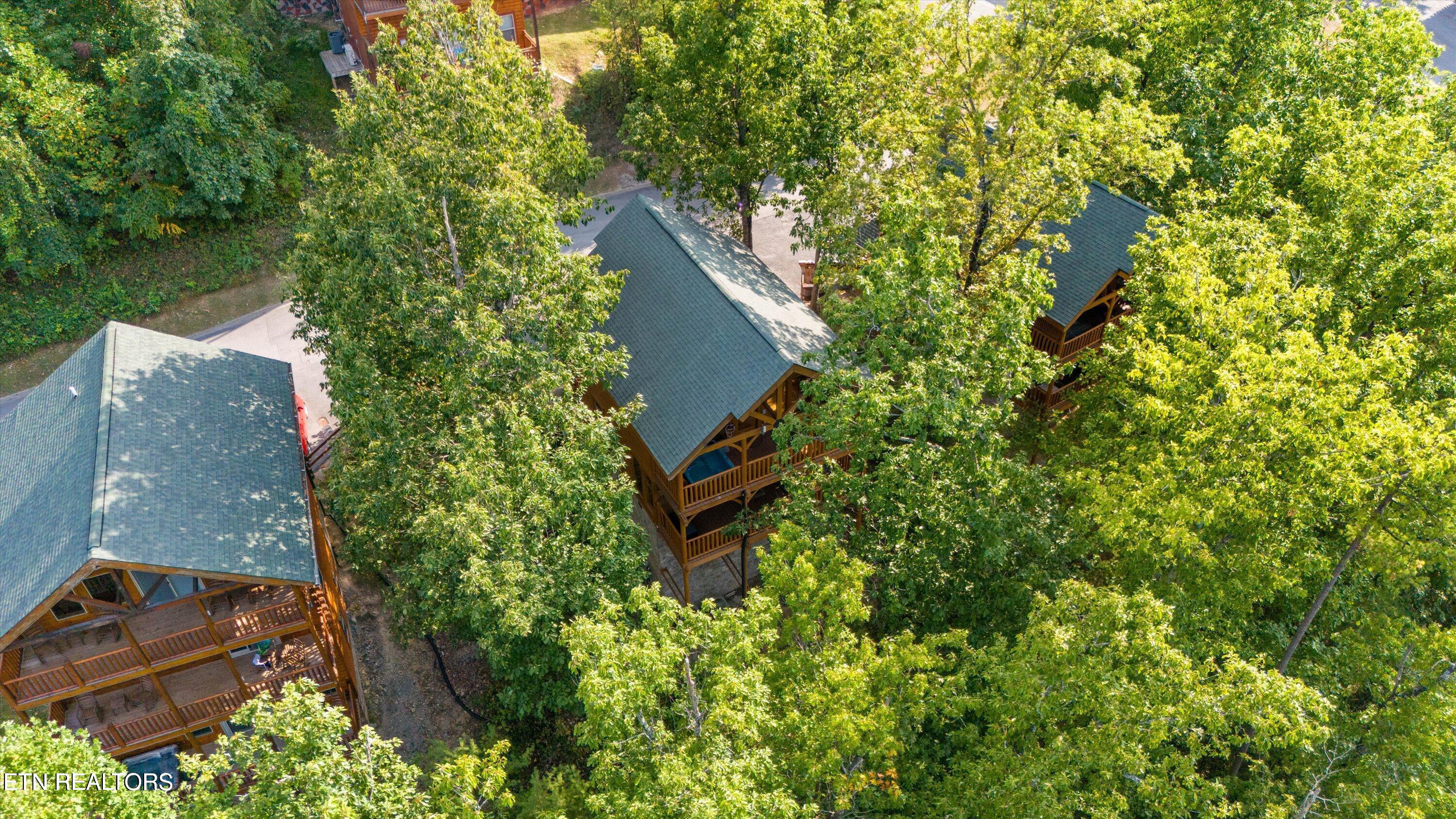 1109 Autumn Path Way