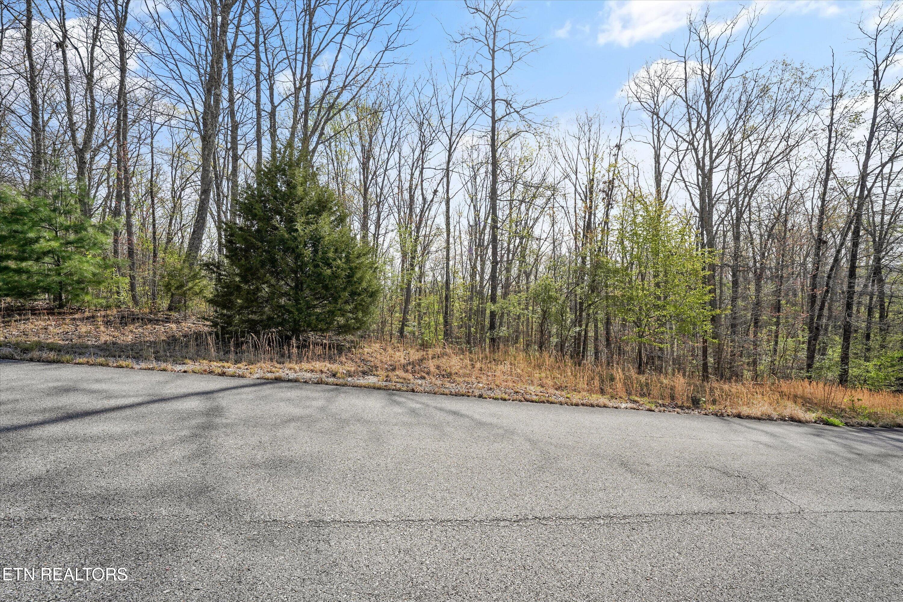 313 Green Ridge Place