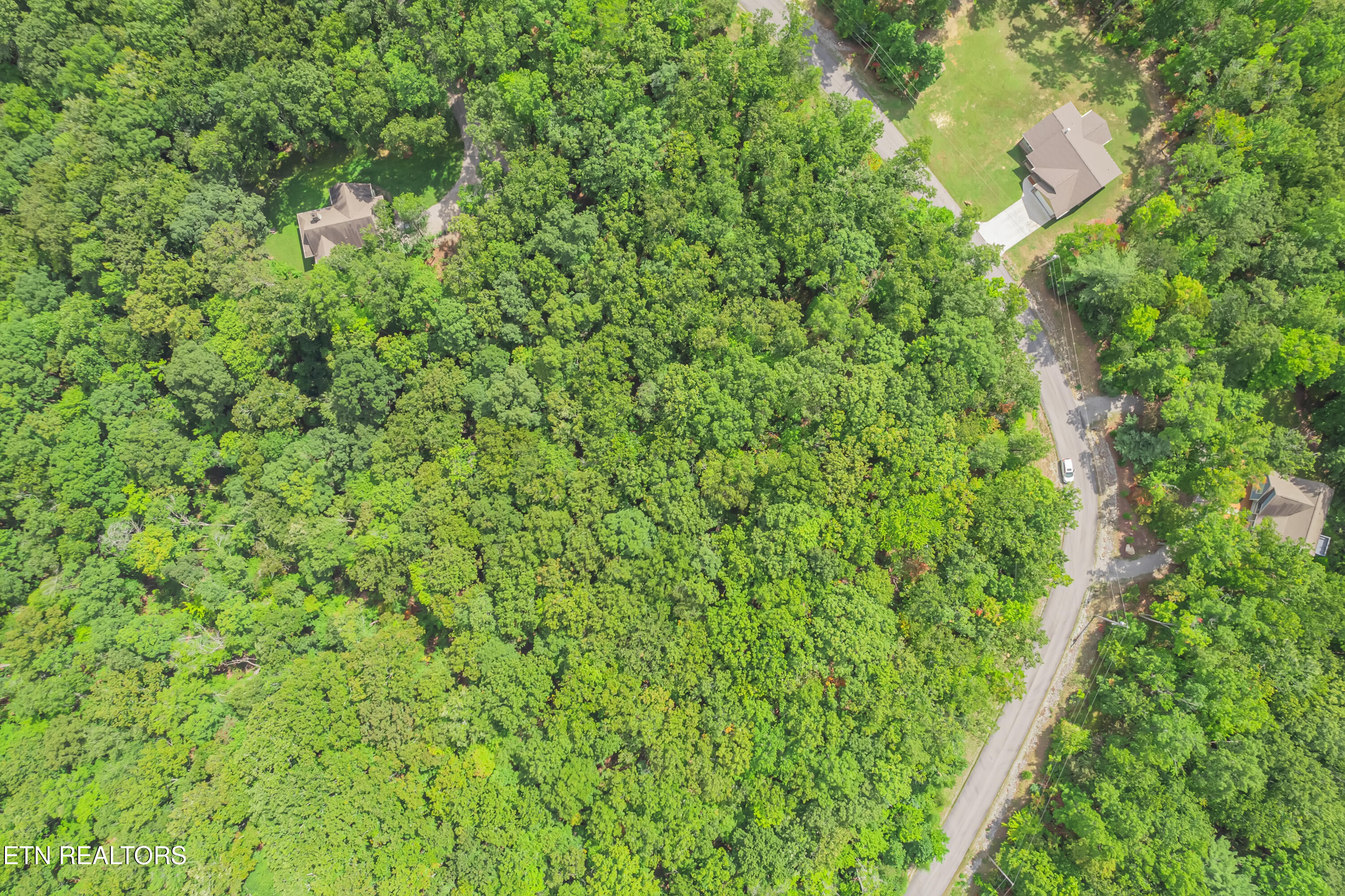 313 Green Ridge Place
