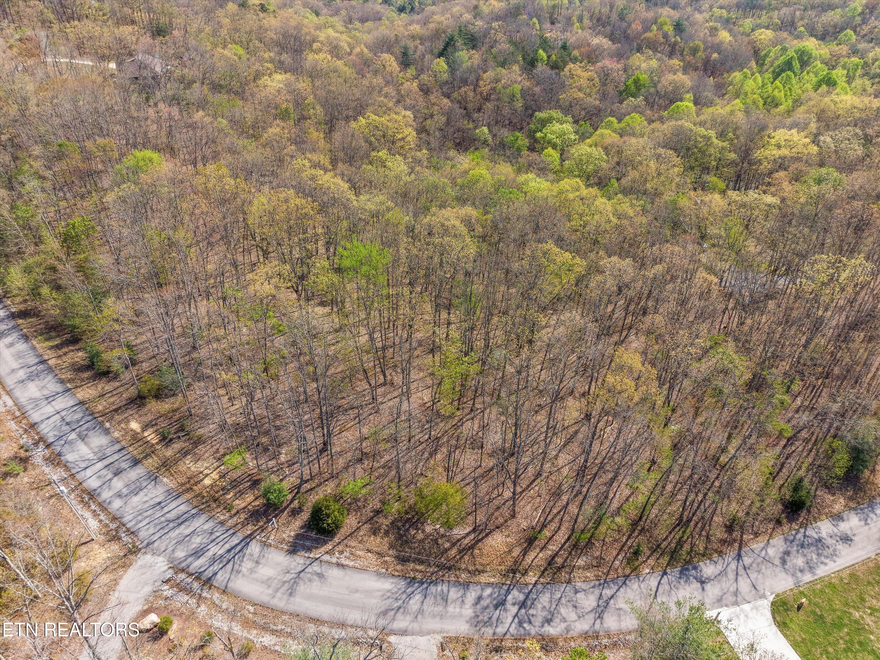 313 Green Ridge Place