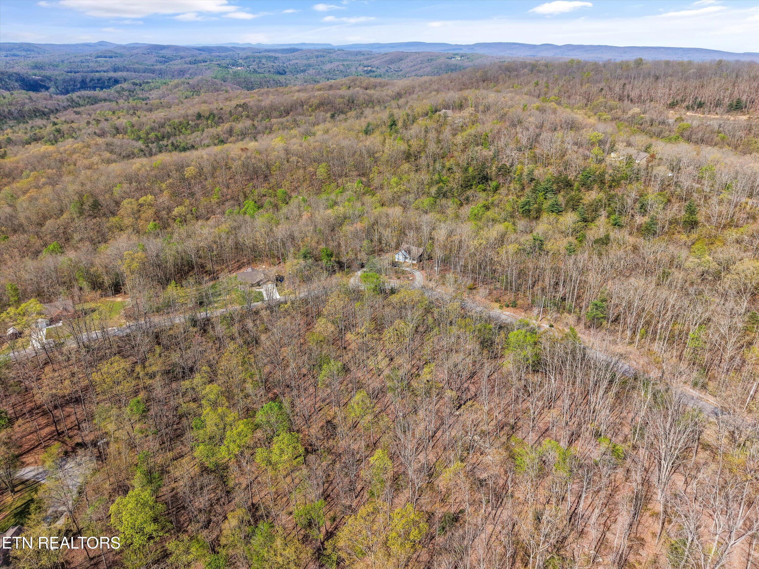 313 Green Ridge Place