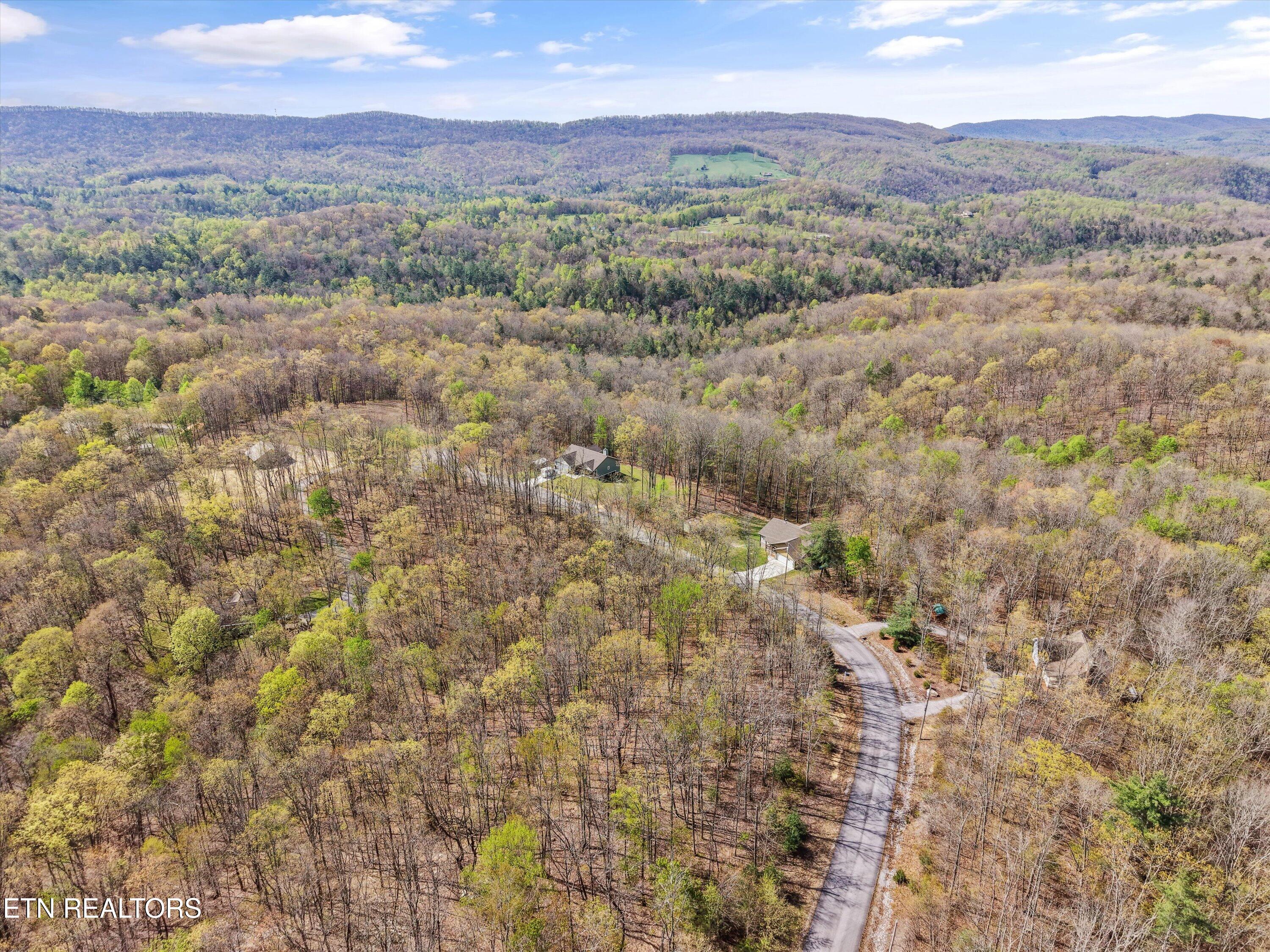 313 Green Ridge Place