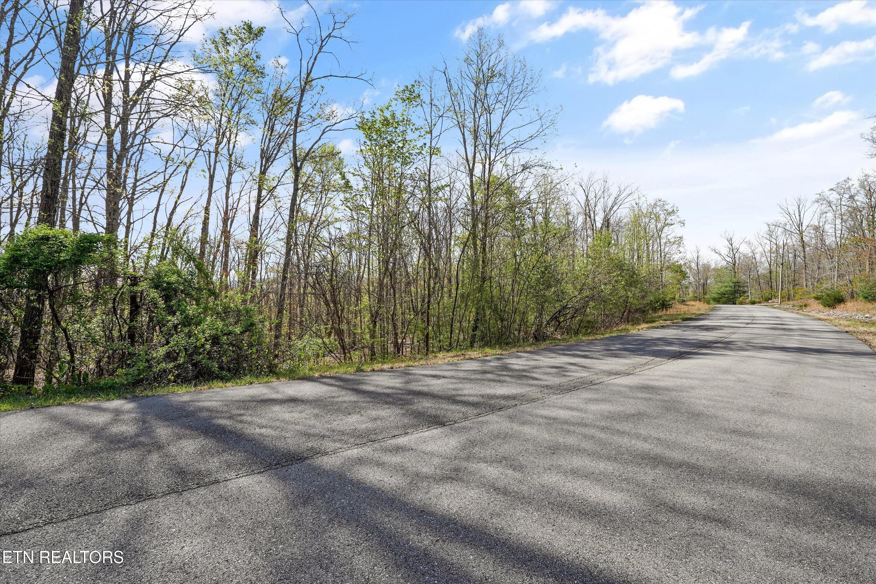 313 Green Ridge Place